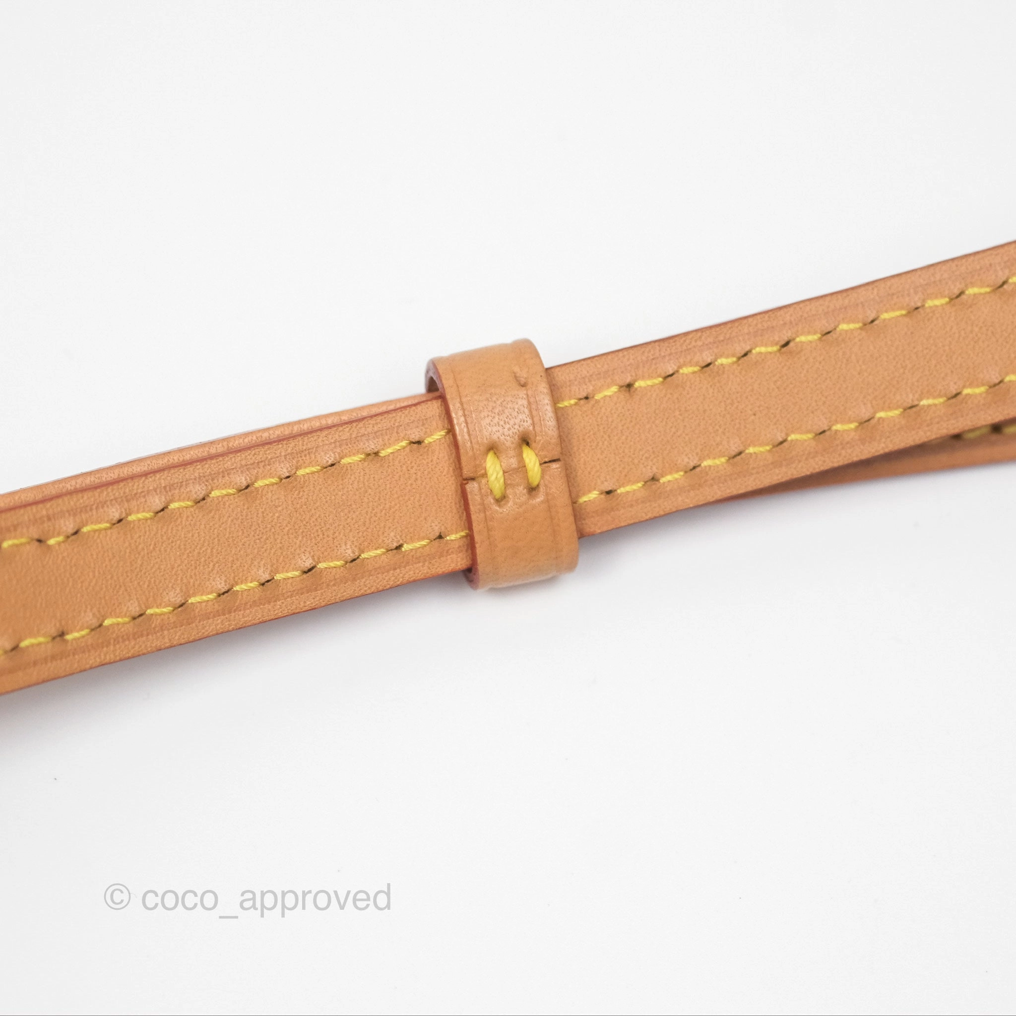 Louis Vuitton Nano Noe Monogram Canvas