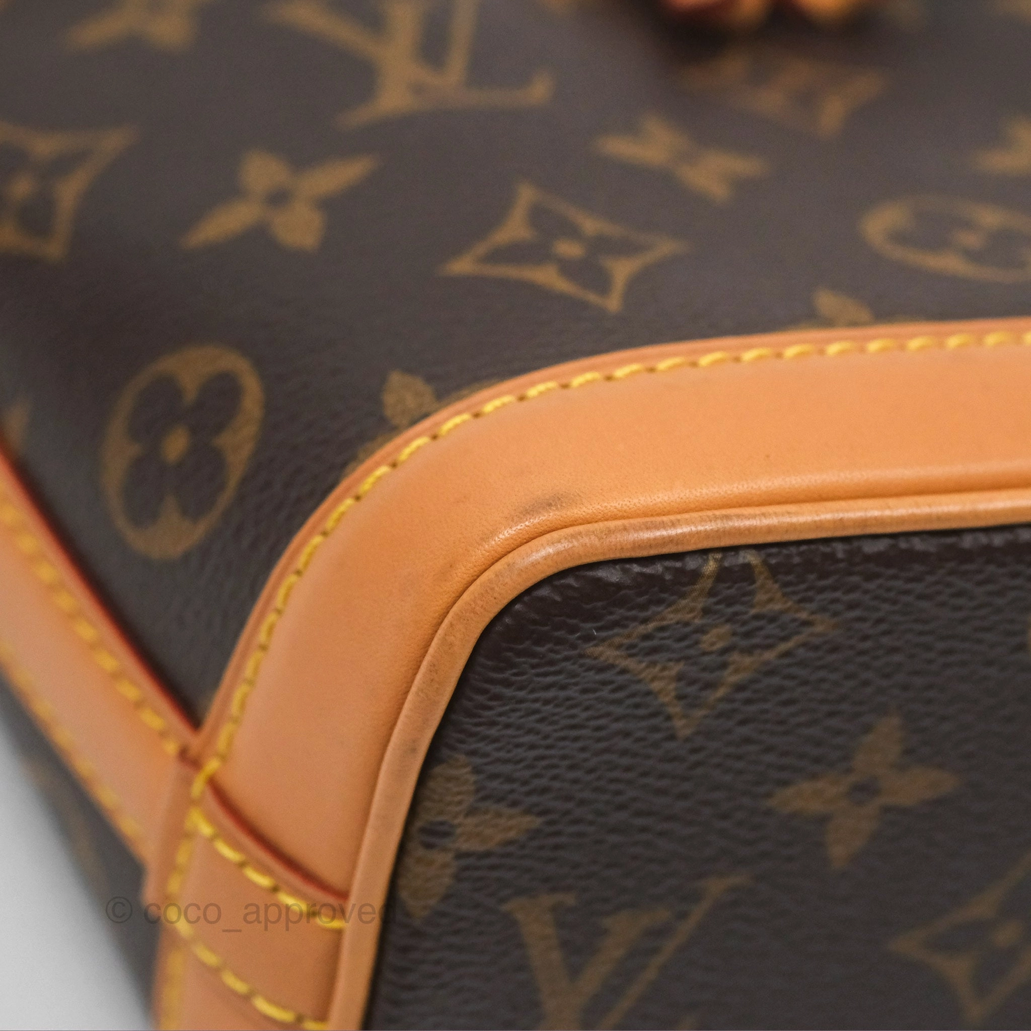 Louis Vuitton Nano Noe Monogram Canvas