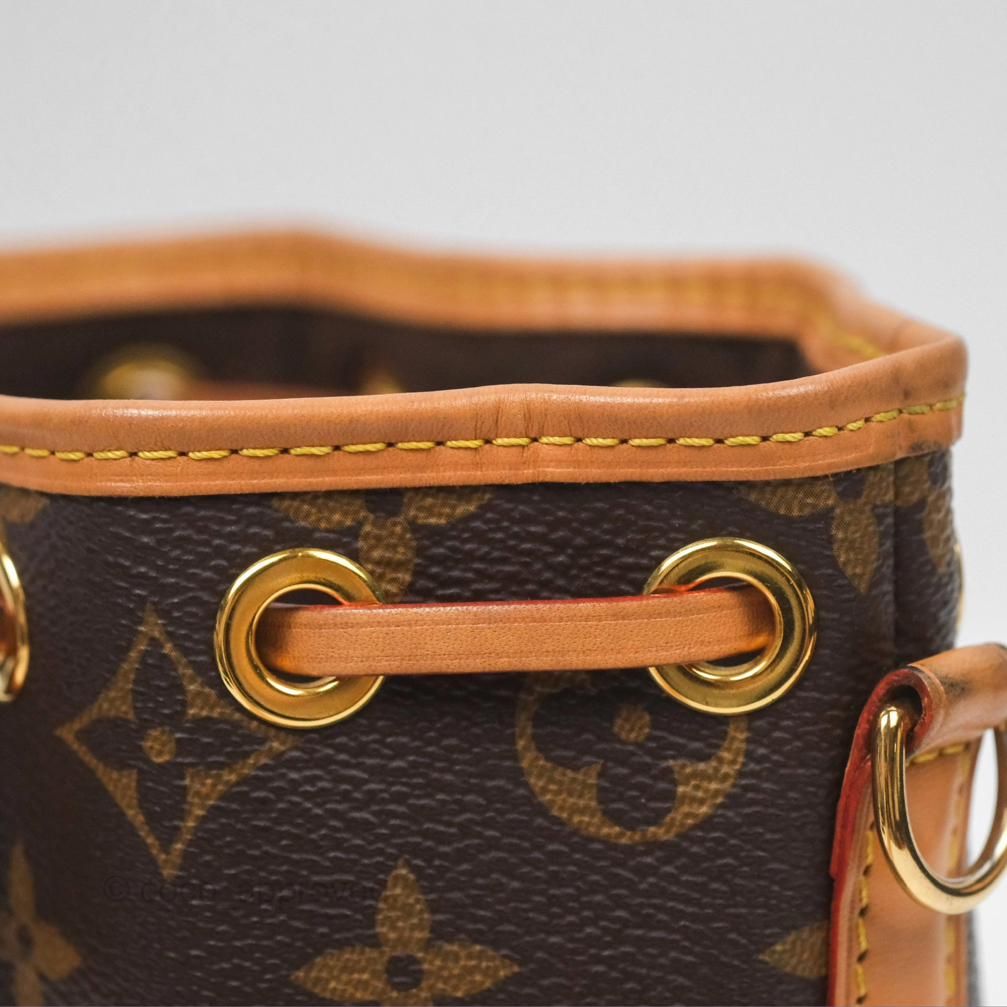 Louis Vuitton Nano Noe Monogram Canvas