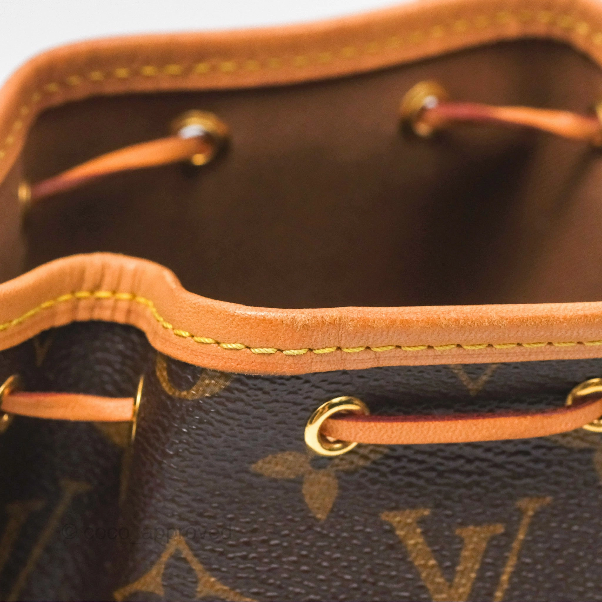 Louis Vuitton Nano Noe Monogram Canvas