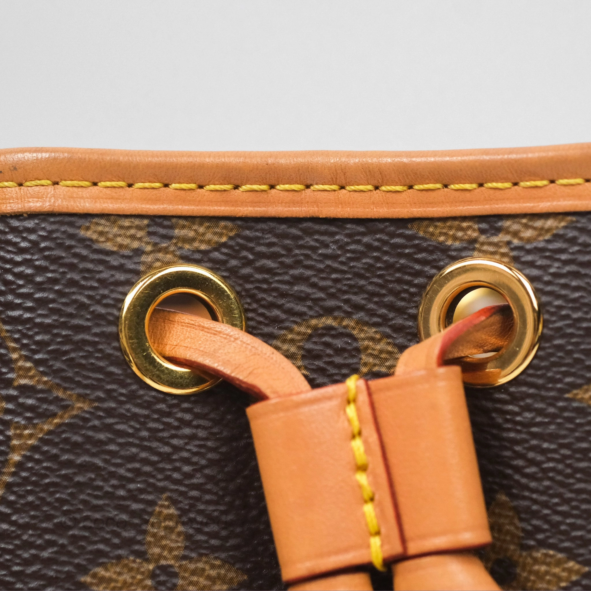 Louis Vuitton Nano Noe Monogram Canvas