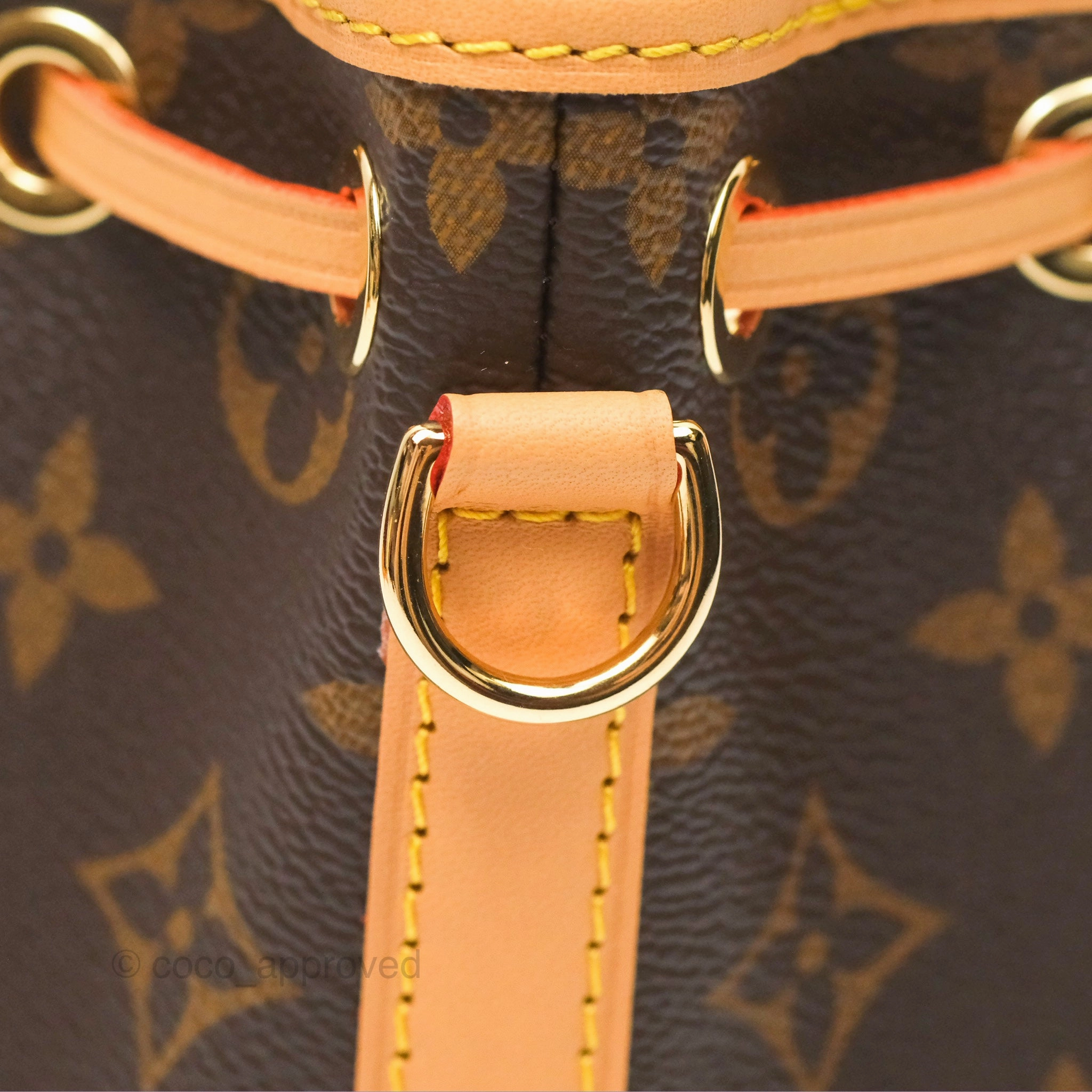 Louis Vuitton Nano Noe Monogram Canvas