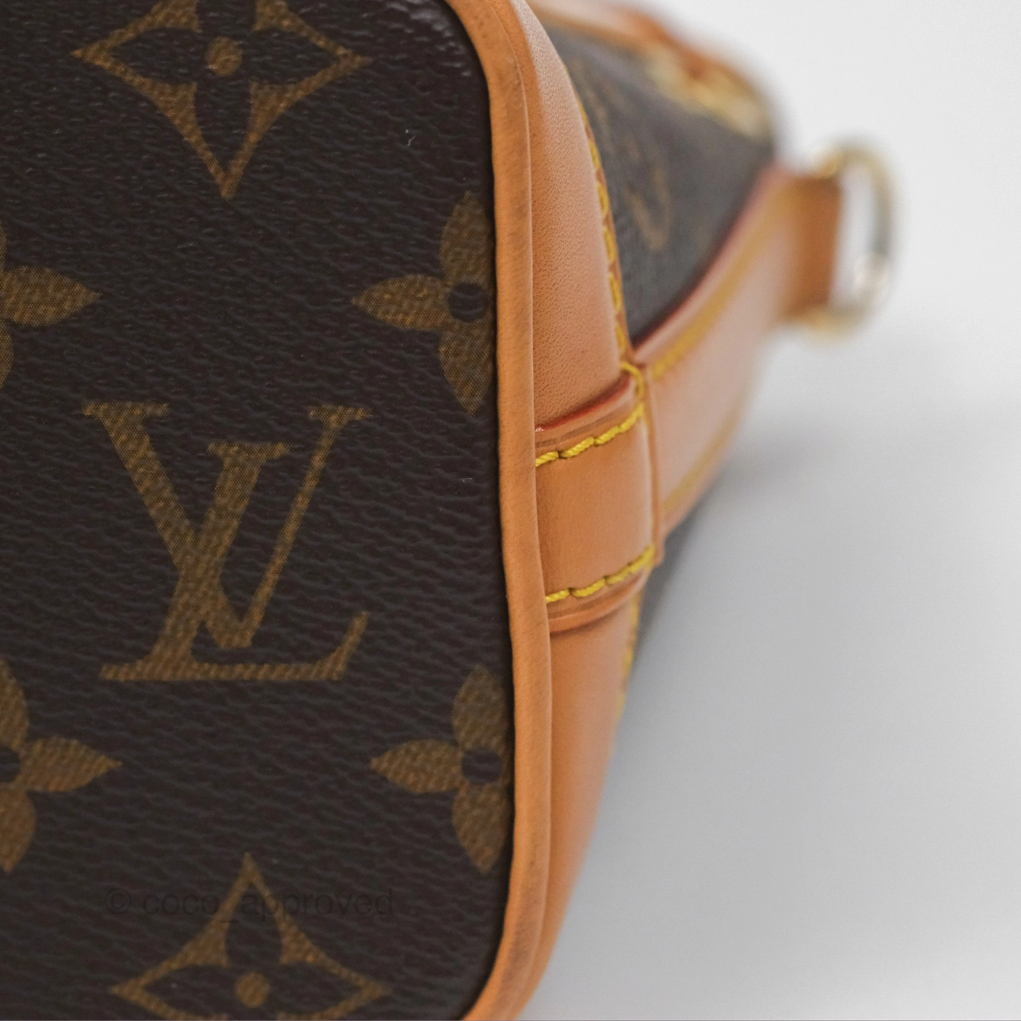 Louis Vuitton Nano Noe Monogram Canvas