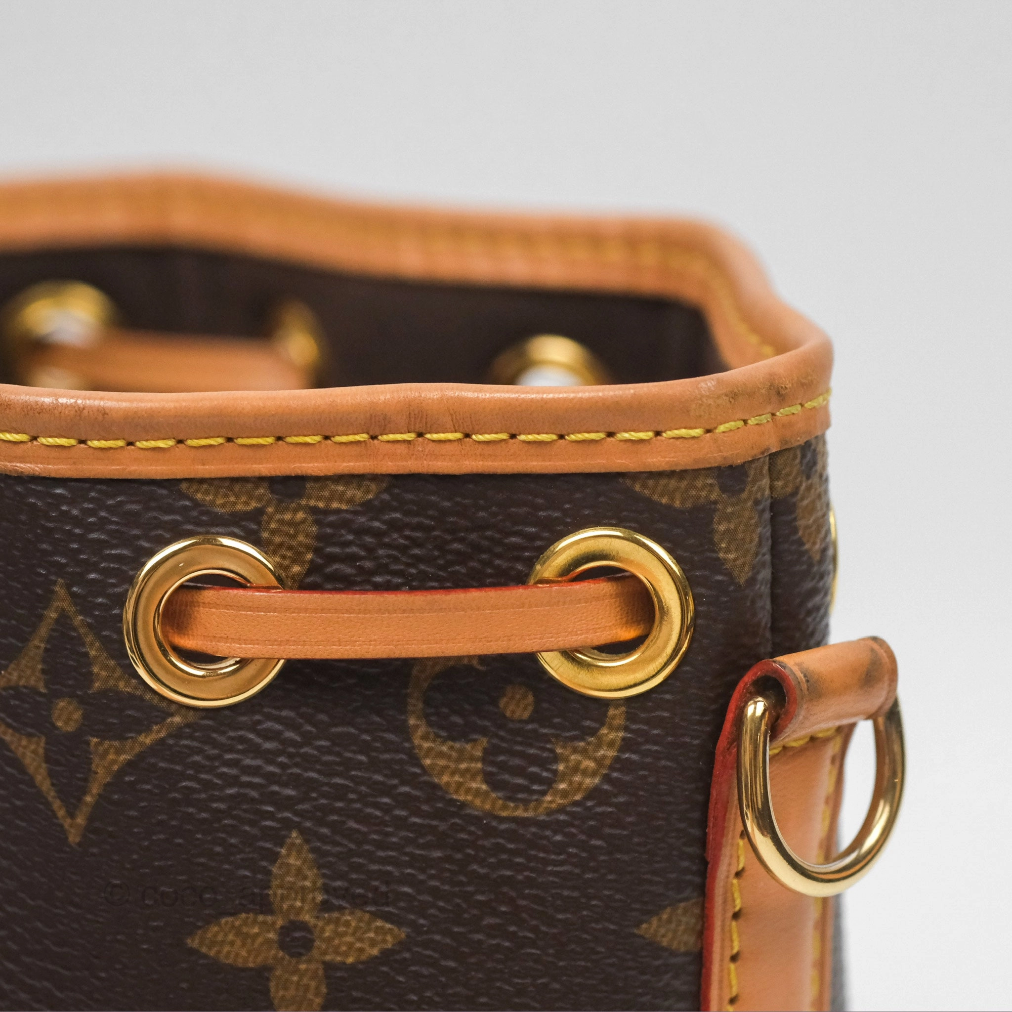 Louis Vuitton Nano Noe Monogram Canvas