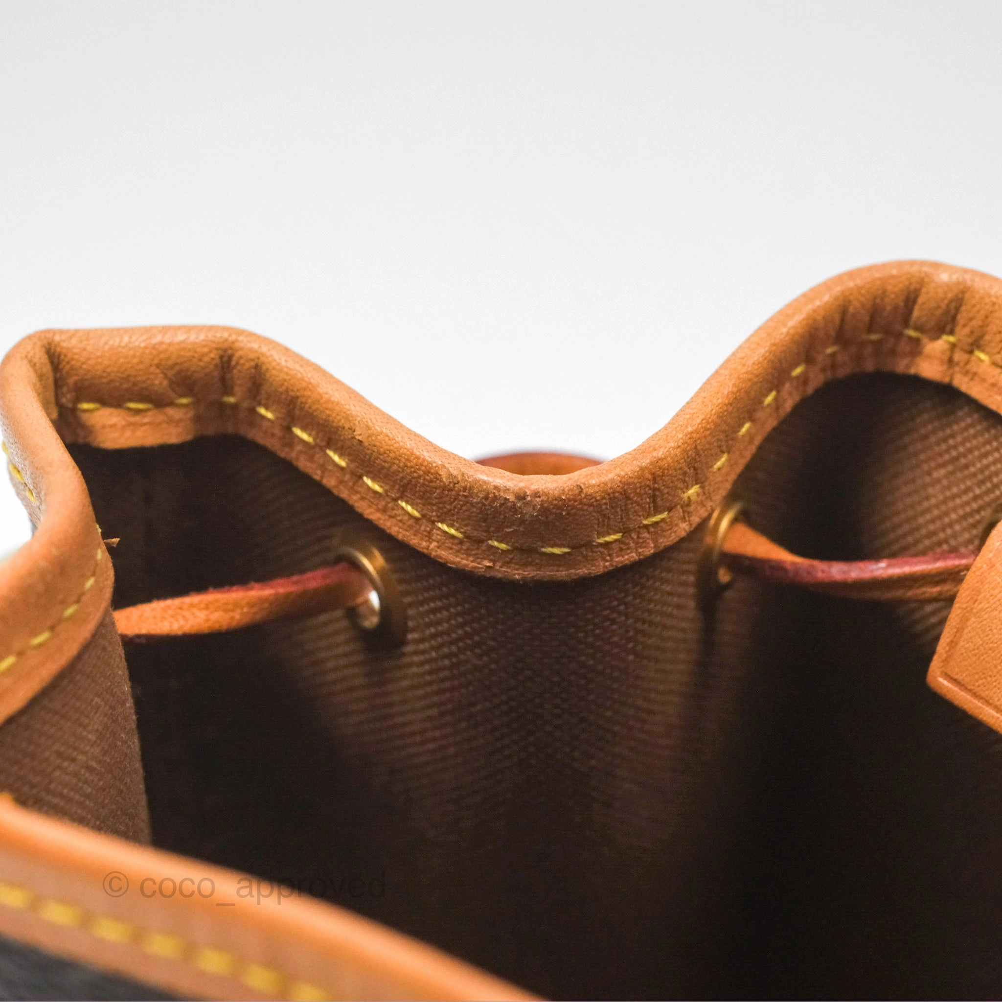 Louis Vuitton Nano Noe Monogram Canvas