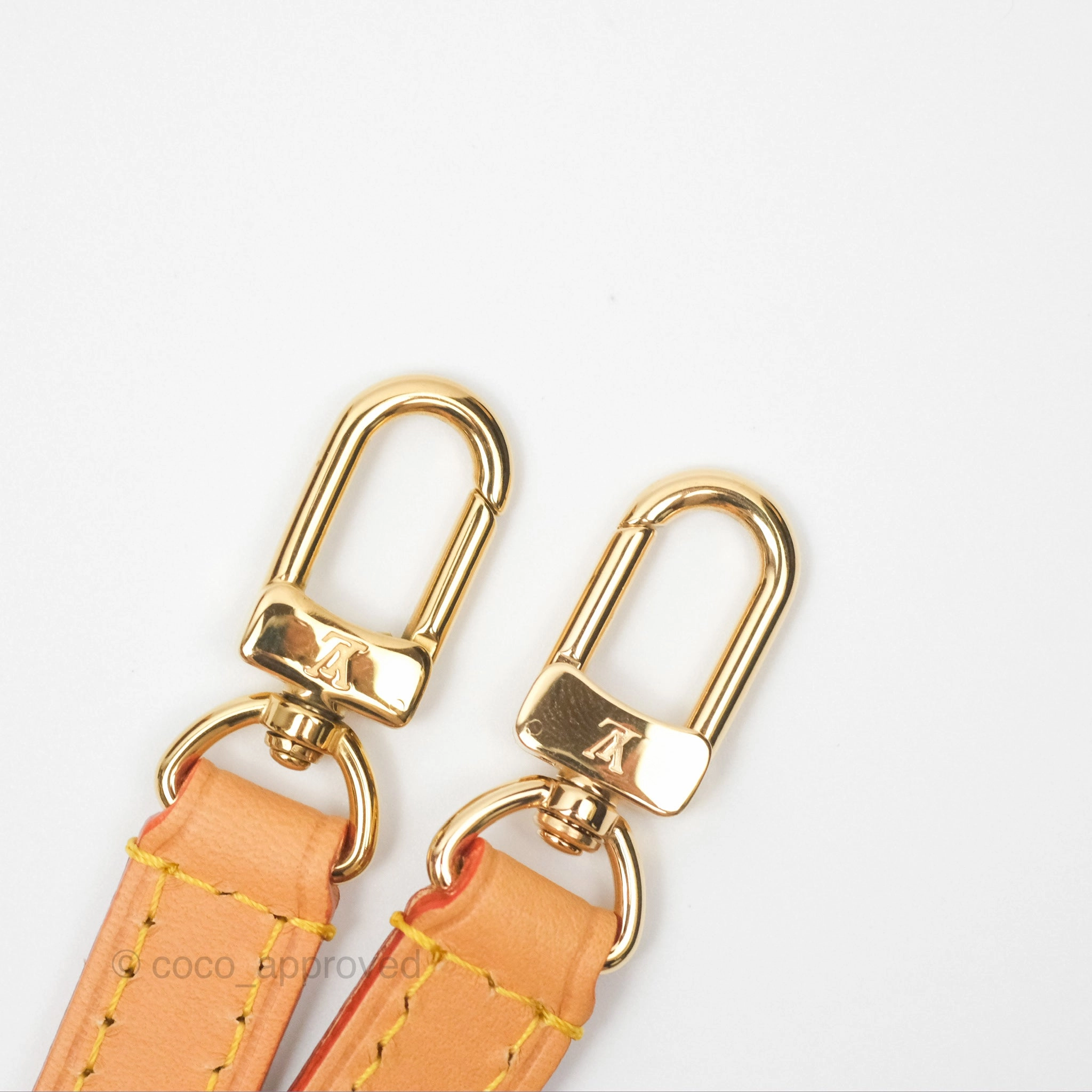 Louis Vuitton Nano Noe Monogram Canvas