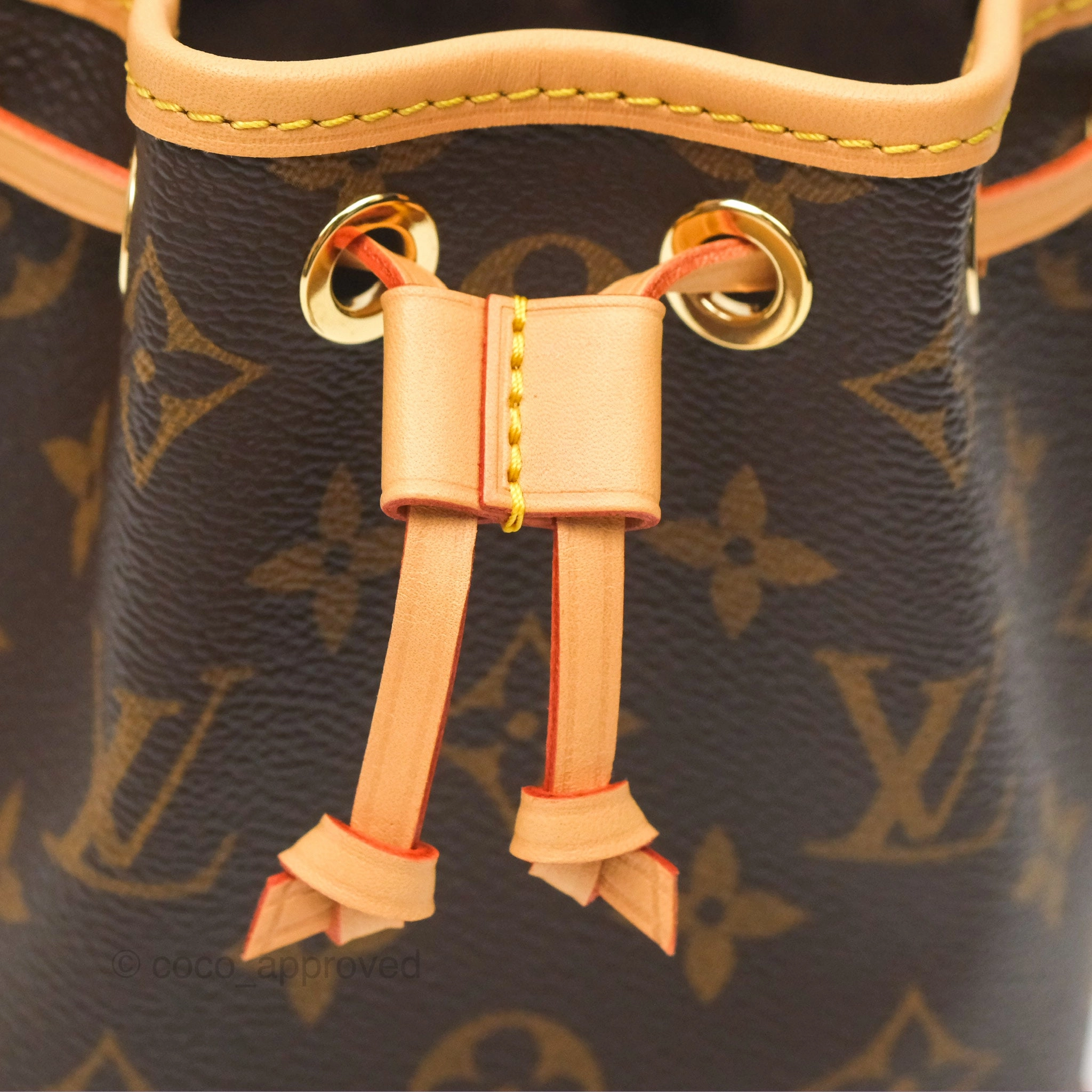 Louis Vuitton Nano Noe Monogram Canvas