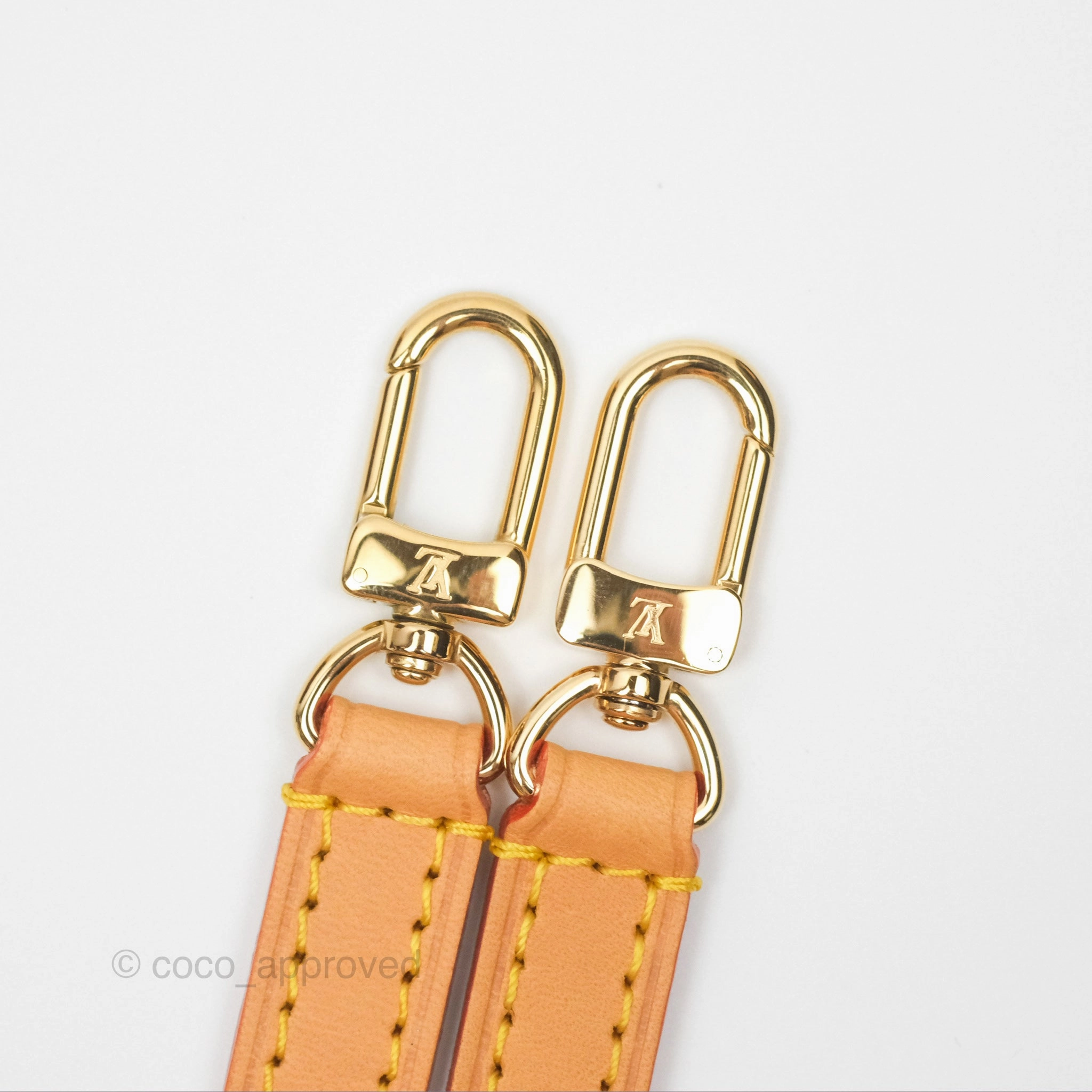 Louis Vuitton Nano Noe Monogram Canvas