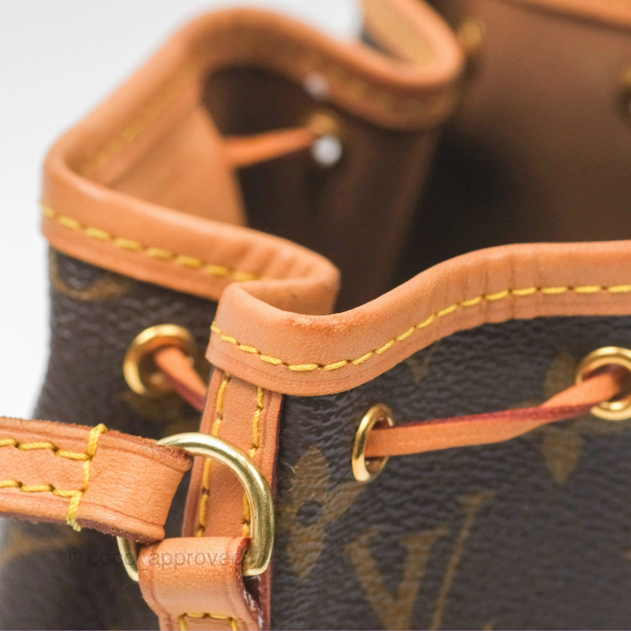 Louis Vuitton Nano Noe Monogram Canvas