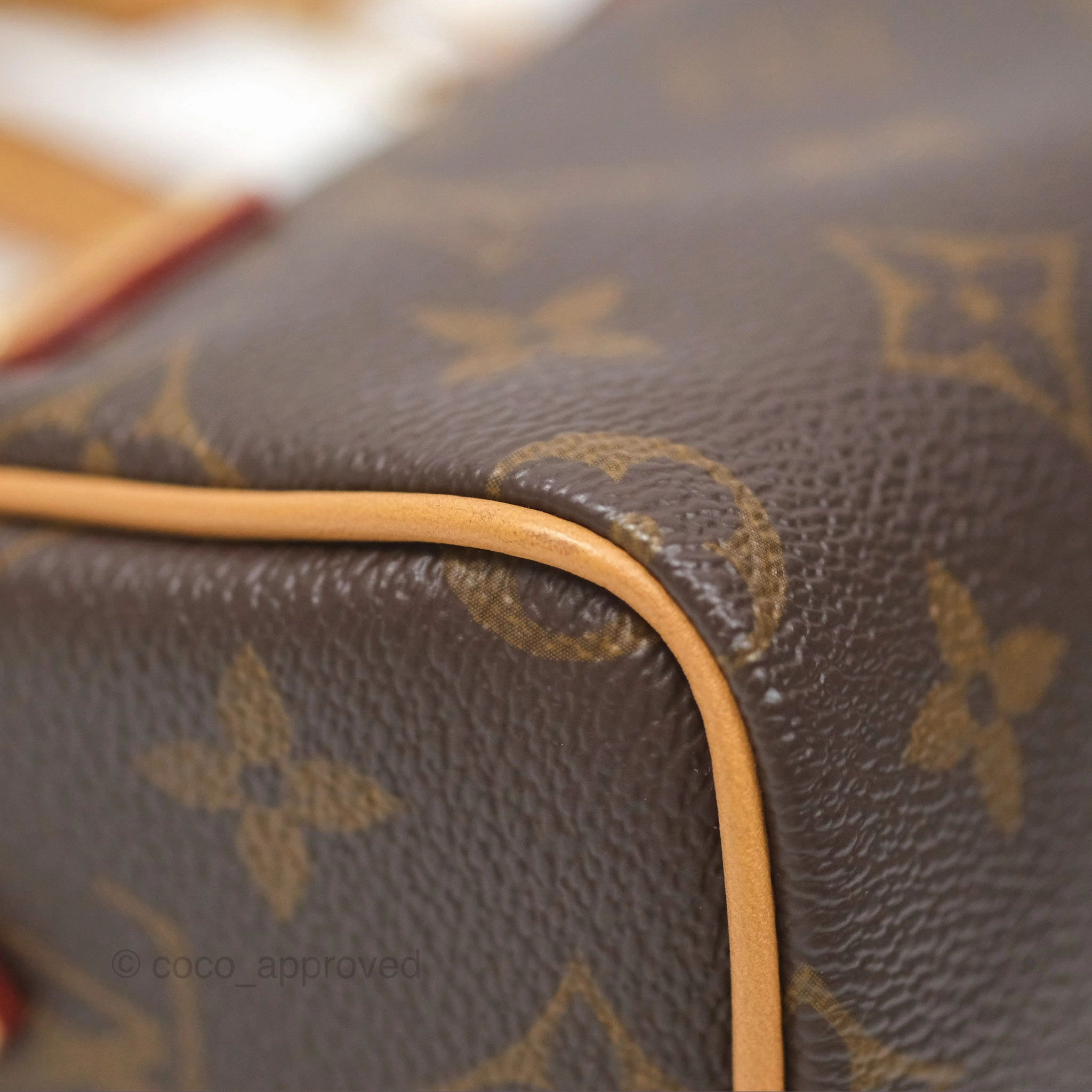 Louis Vuitton Nano Speedy Monogram