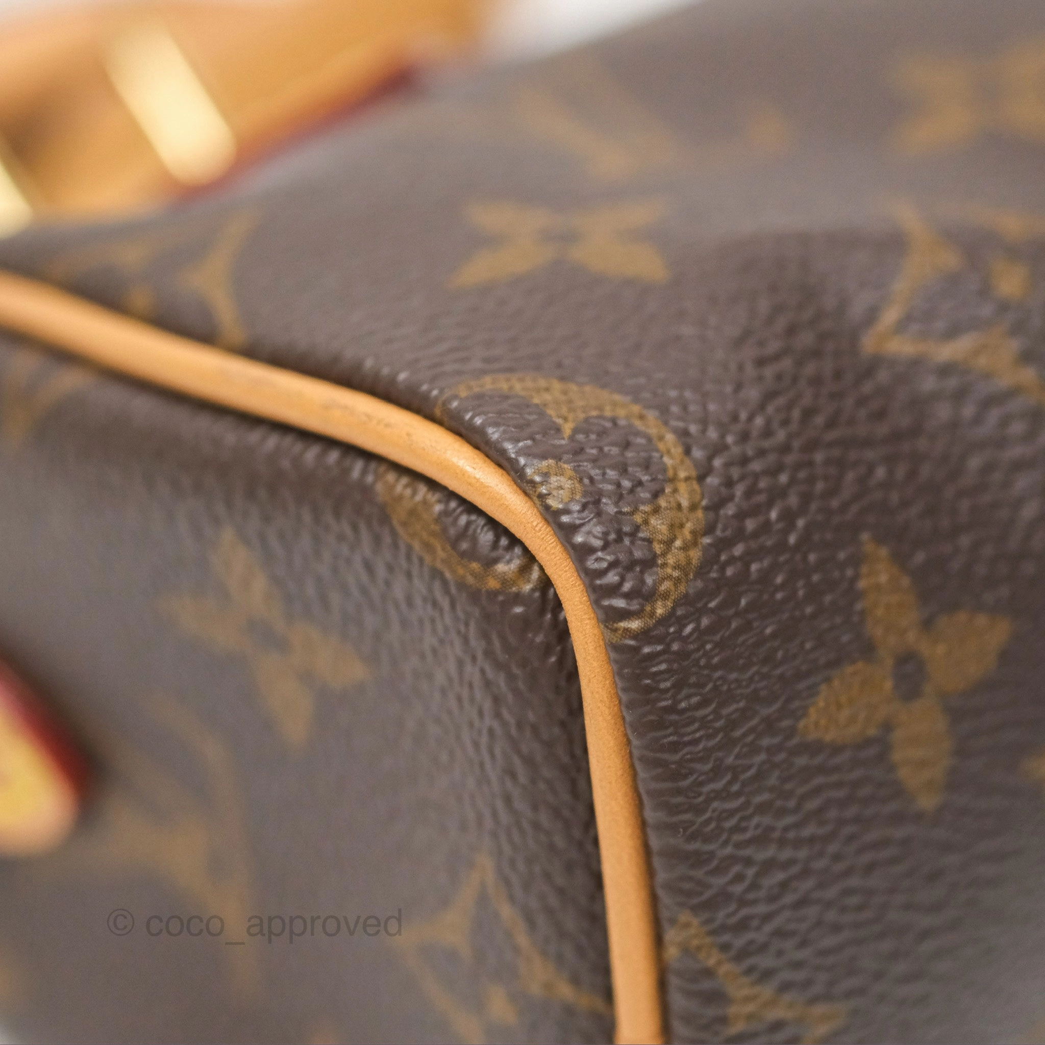 Louis Vuitton Nano Speedy Monogram