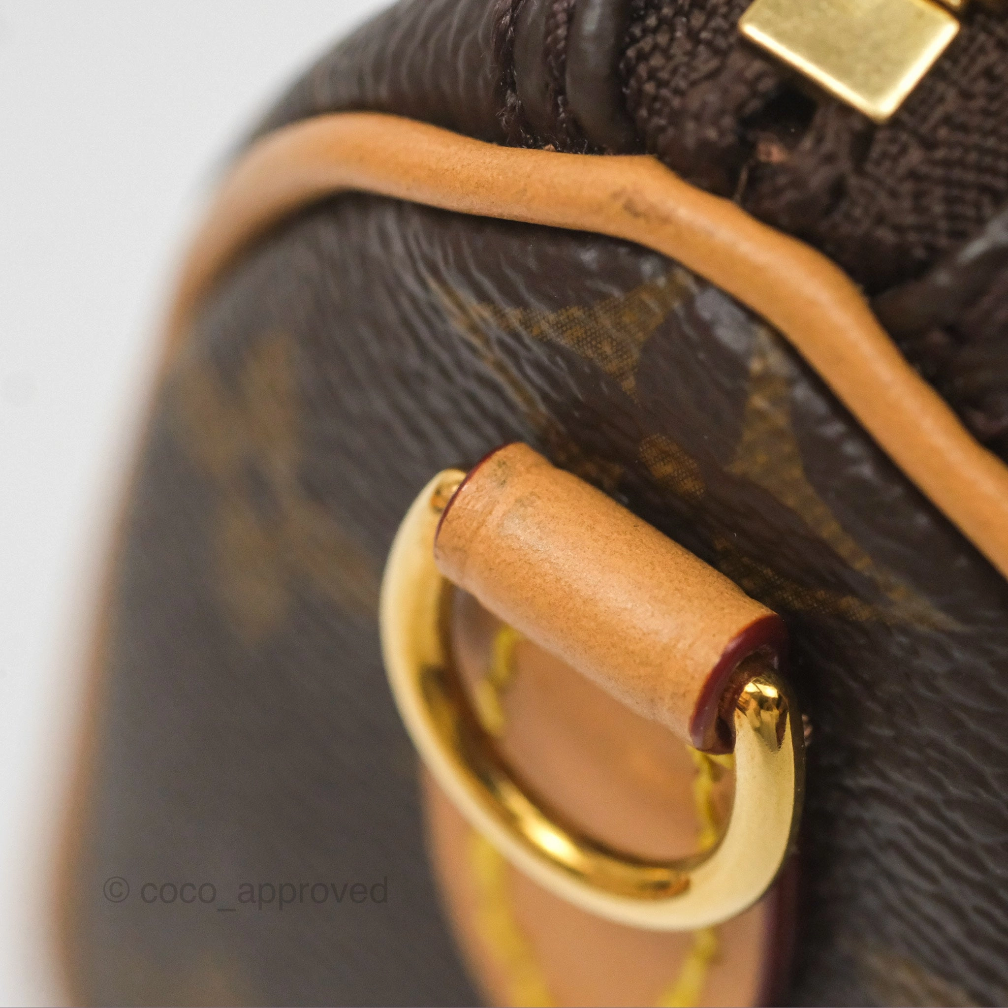 Louis Vuitton Nano Speedy Monogram