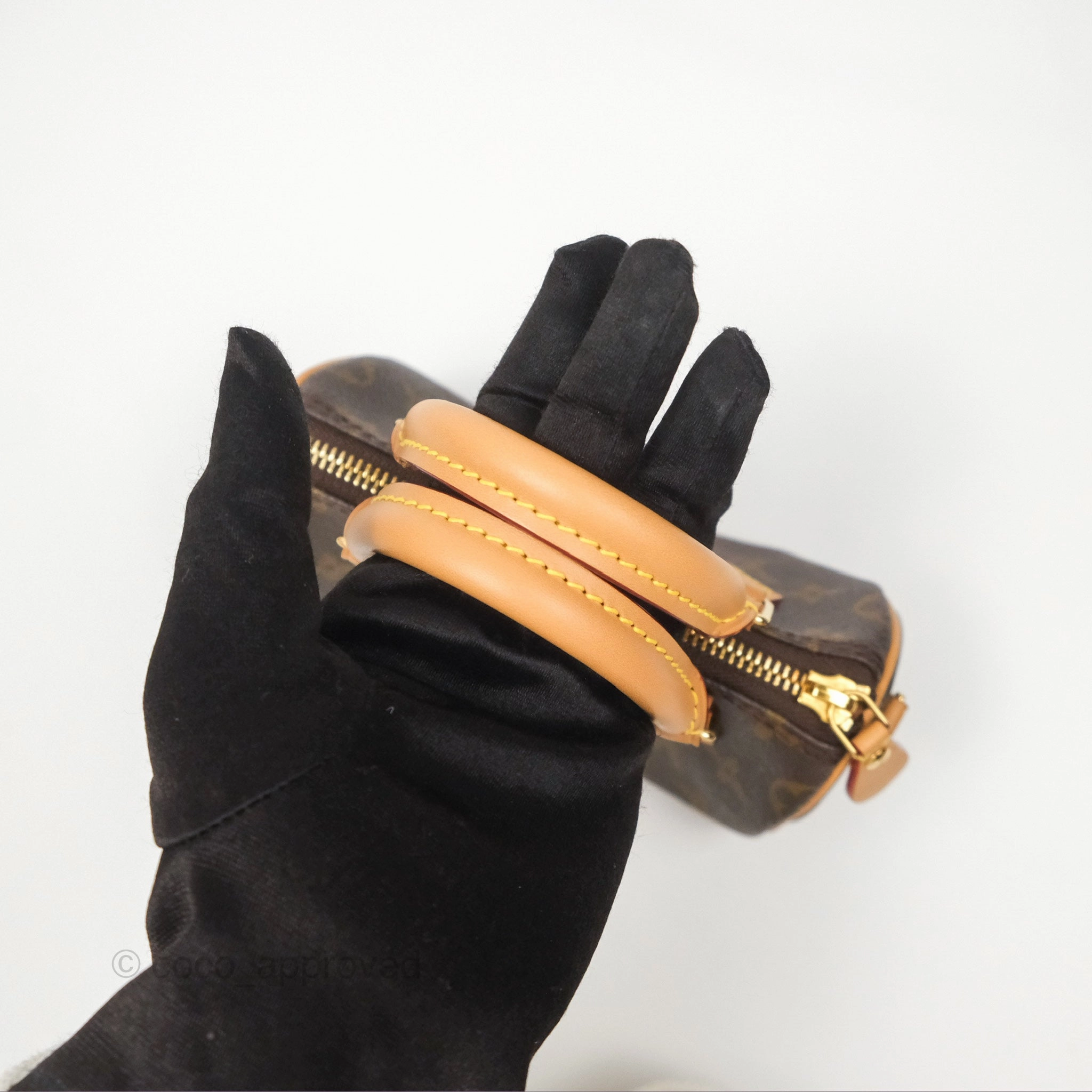 Louis Vuitton Nano Speedy Monogram