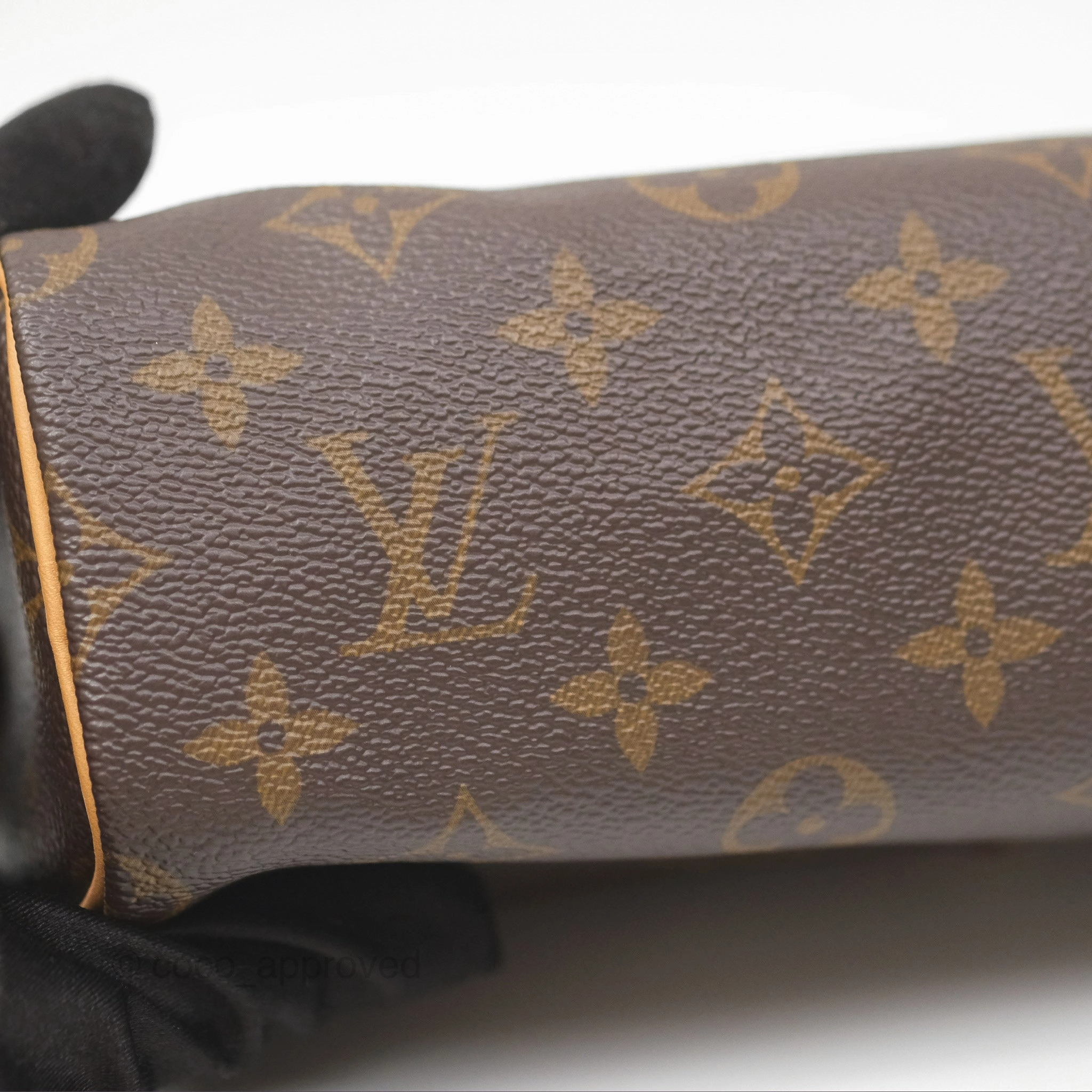 Louis Vuitton Nano Speedy Monogram