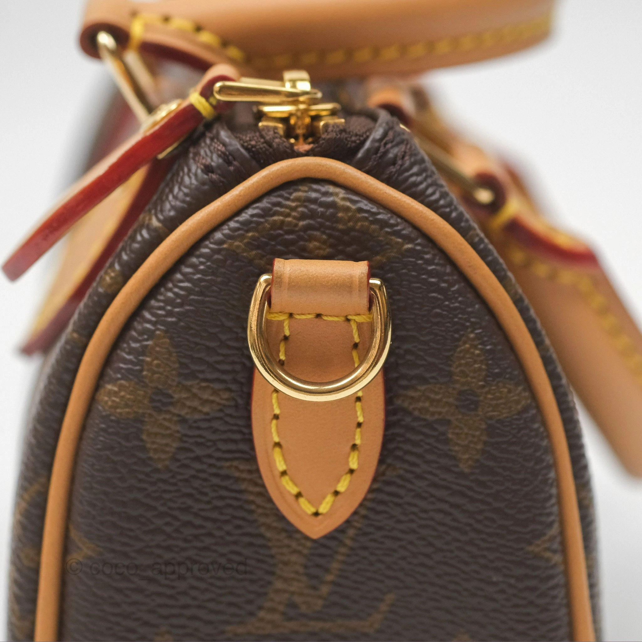 Louis Vuitton Nano Speedy Monogram