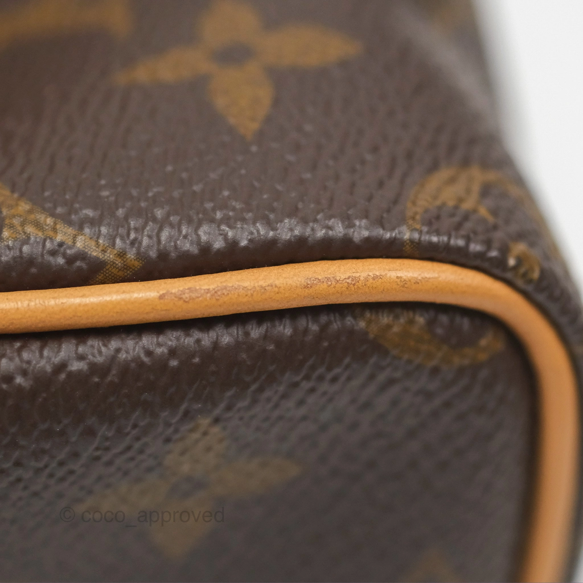 Louis Vuitton Nano Speedy Monogram