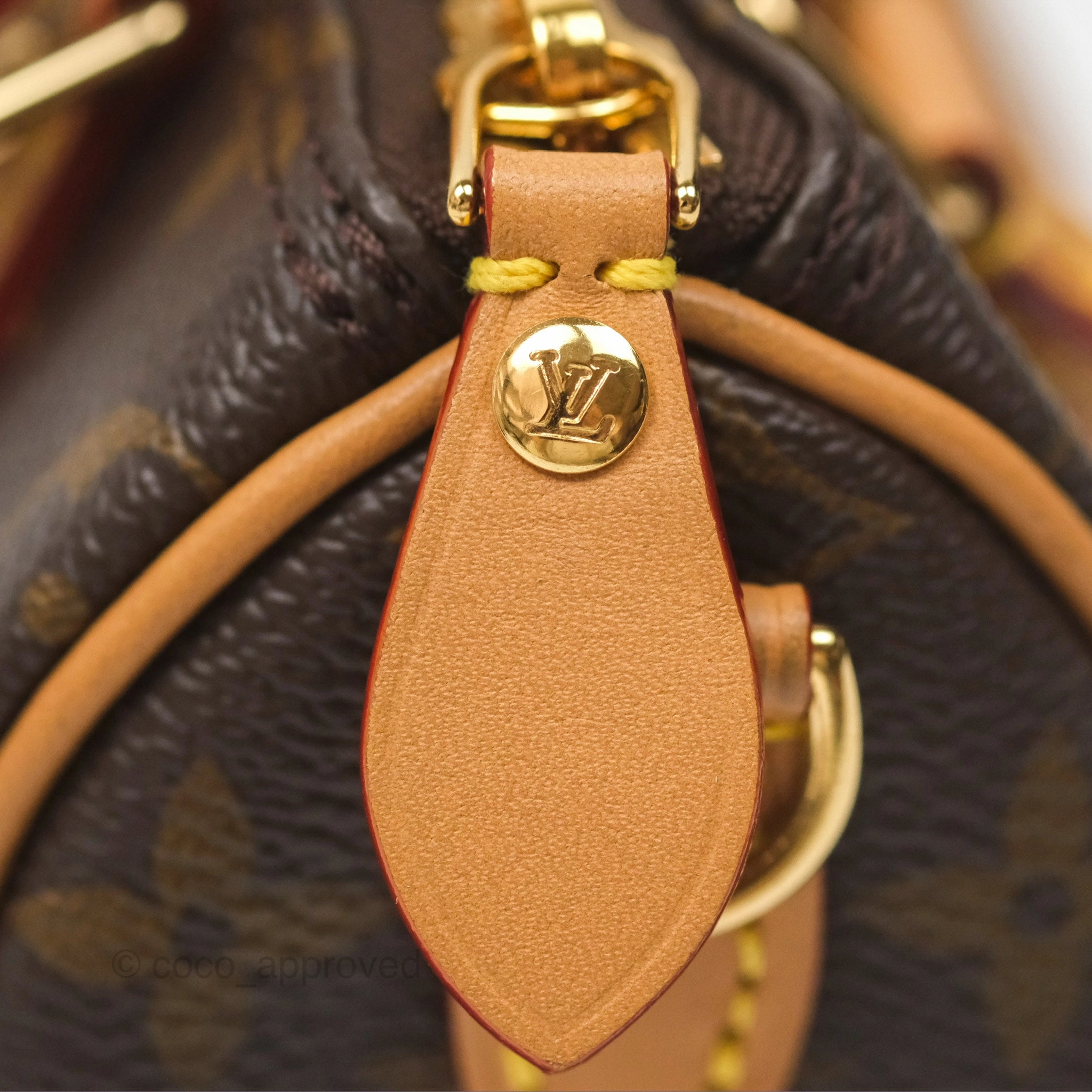 Louis Vuitton Nano Speedy Monogram