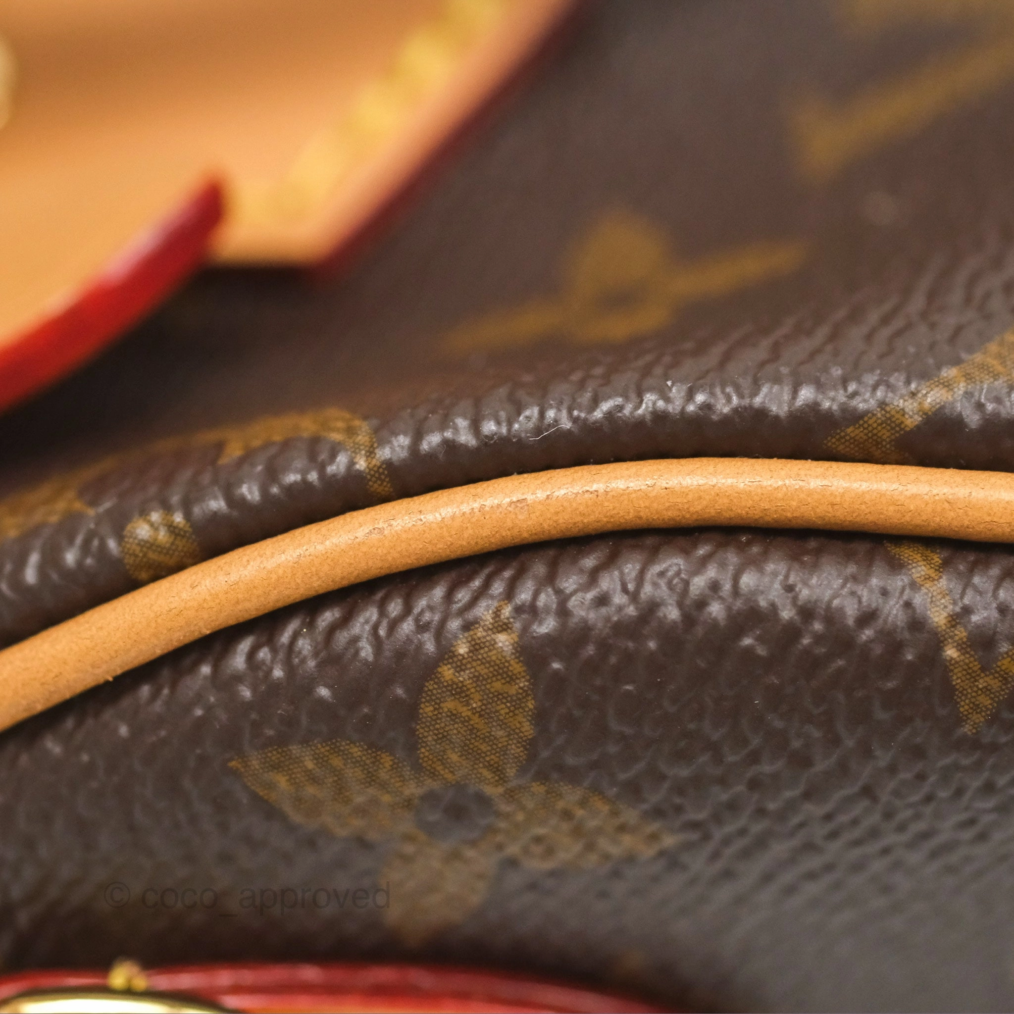 Louis Vuitton Nano Speedy Monogram