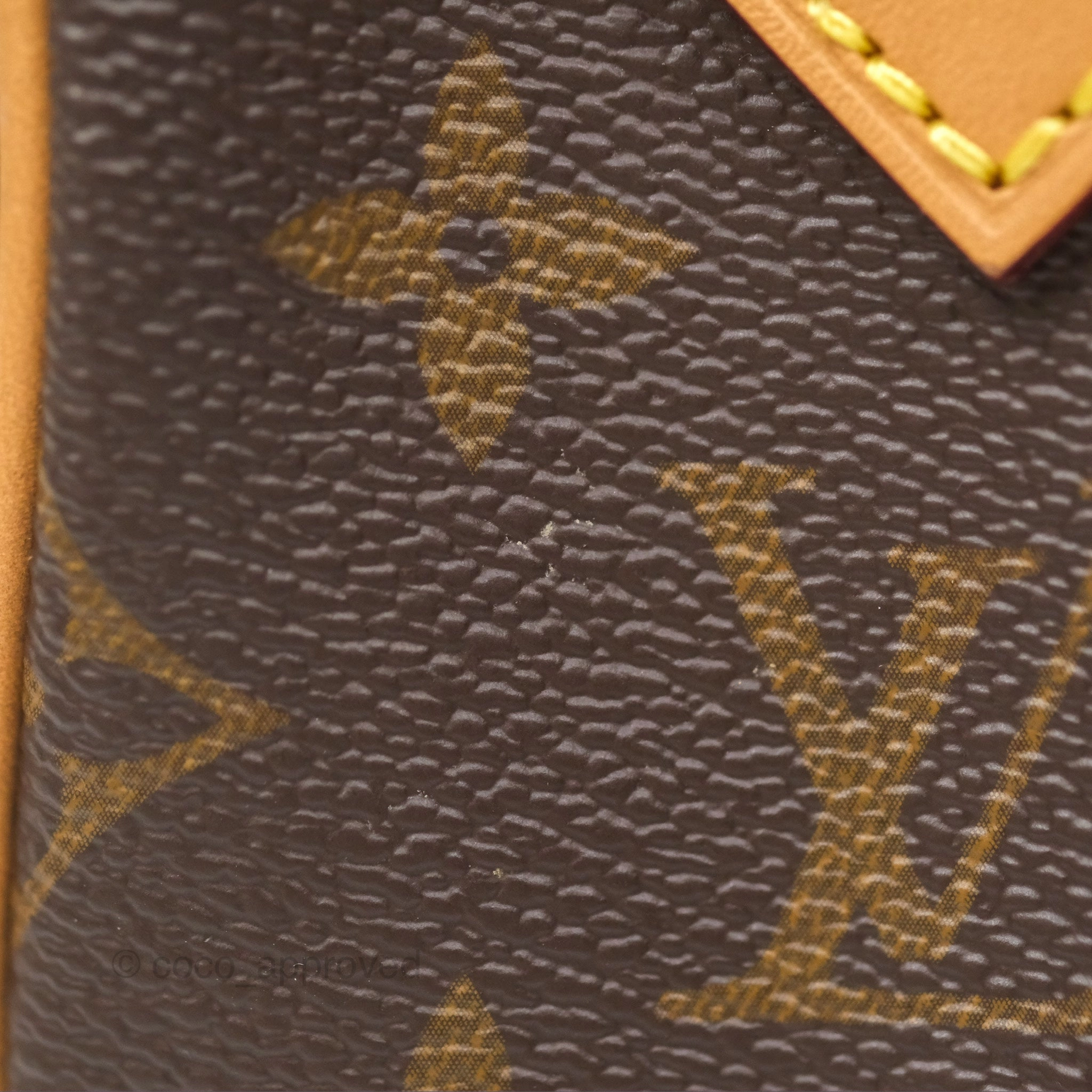 Louis Vuitton Nano Speedy Monogram