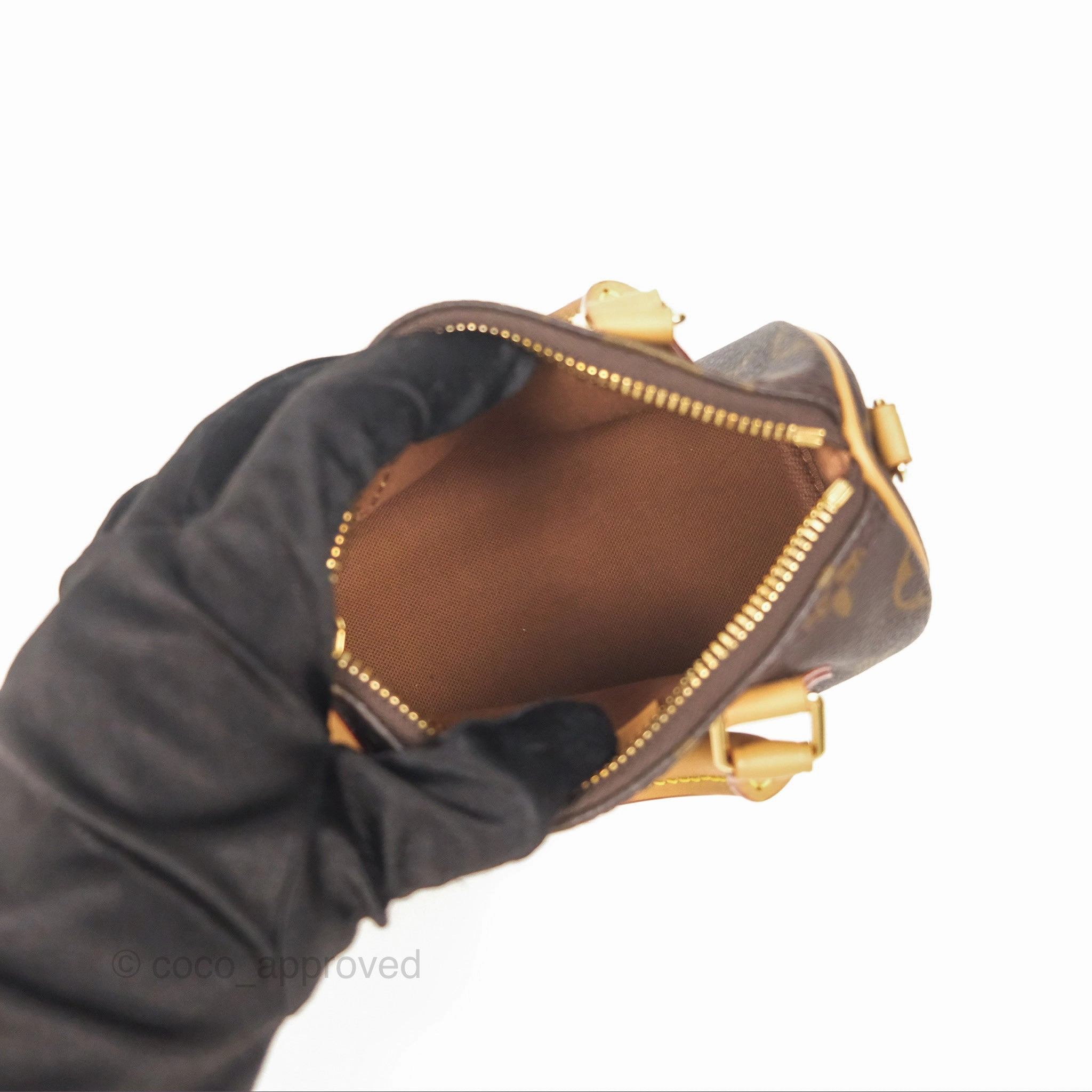 Louis Vuitton Nano Speedy Monogram