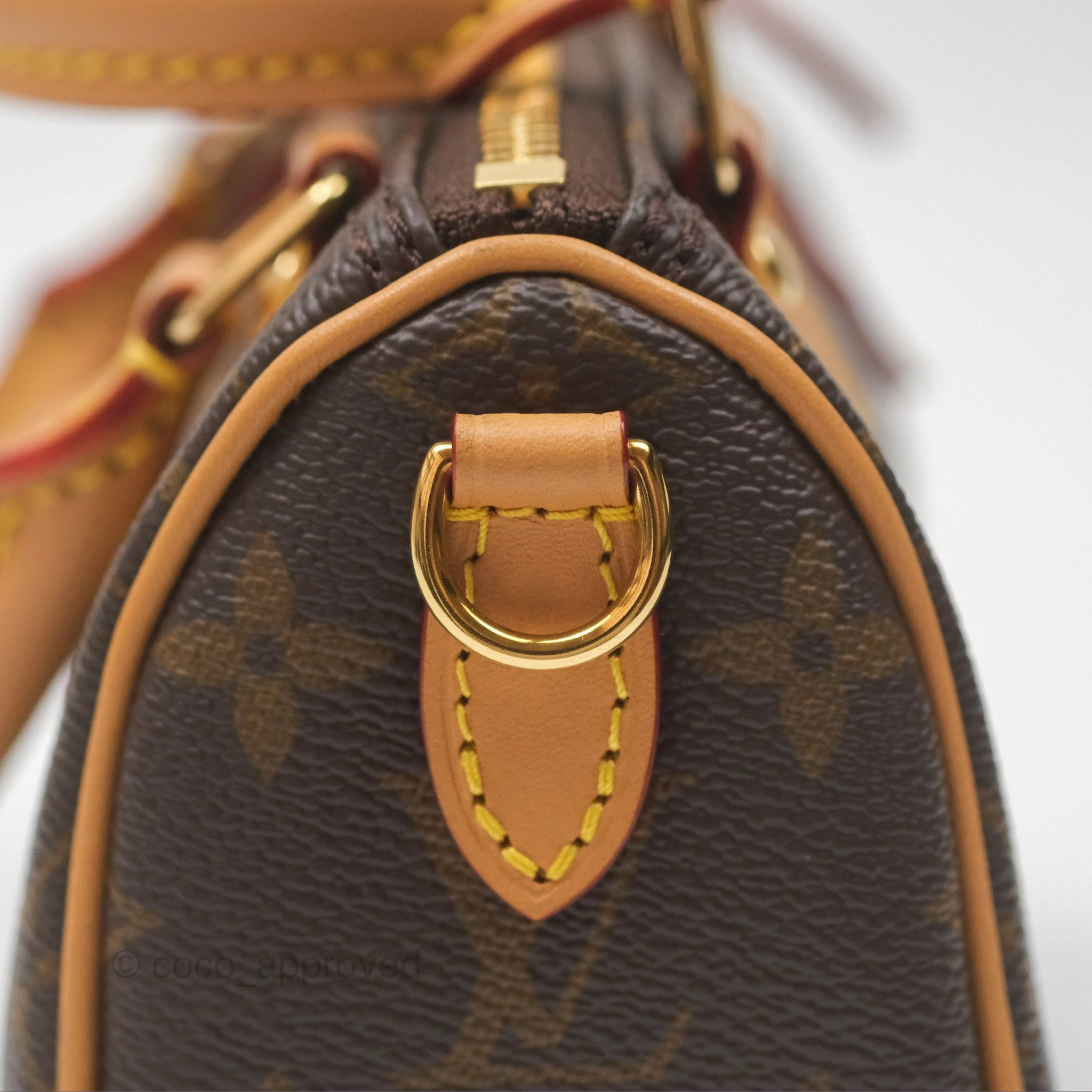 Louis Vuitton Nano Speedy Monogram