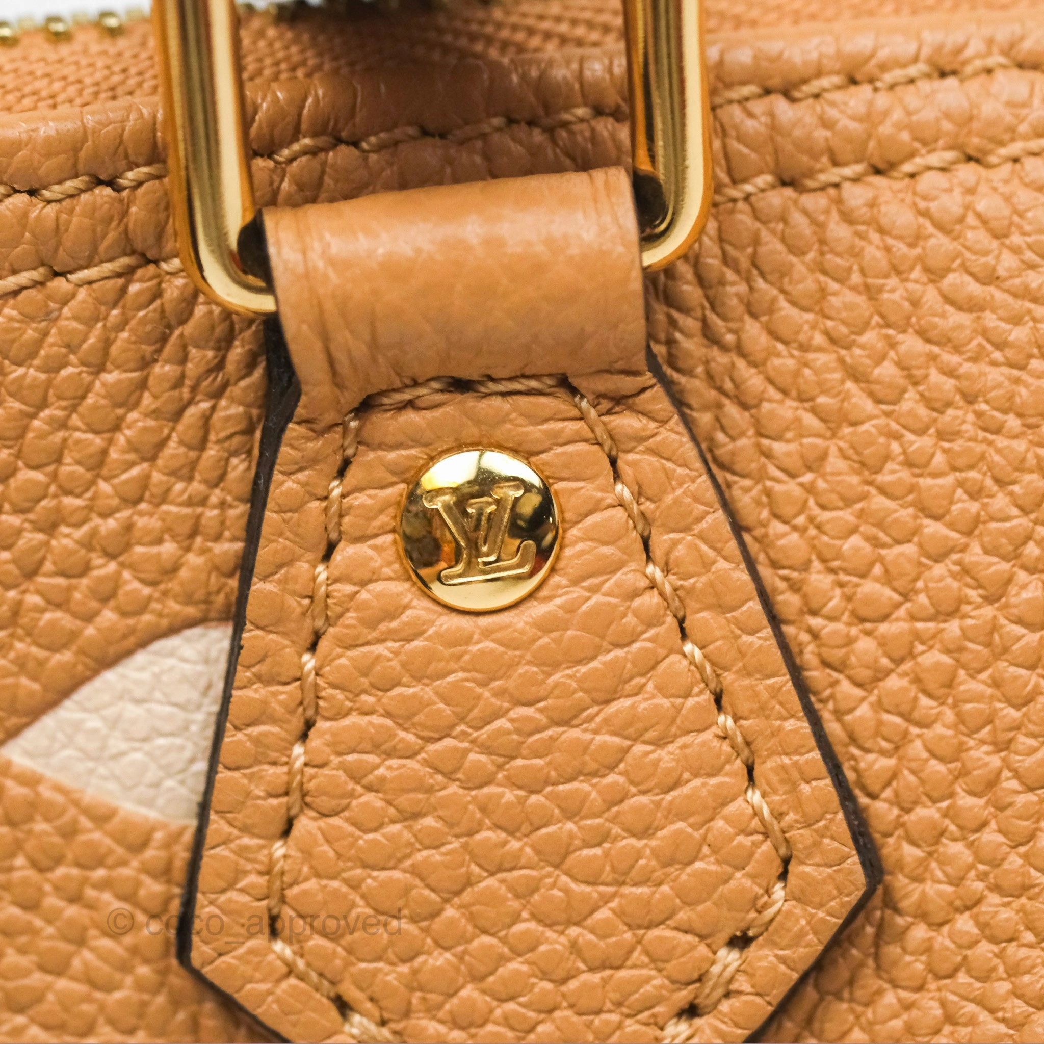 Louis Vuitton Nano Speedy Monogram Arizona Creme