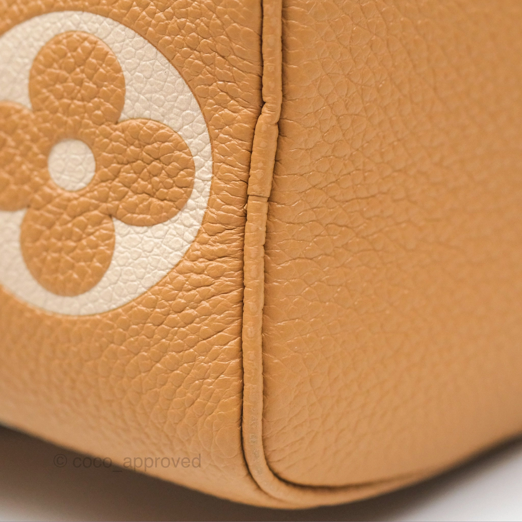 Louis Vuitton Nano Speedy Monogram Arizona Creme