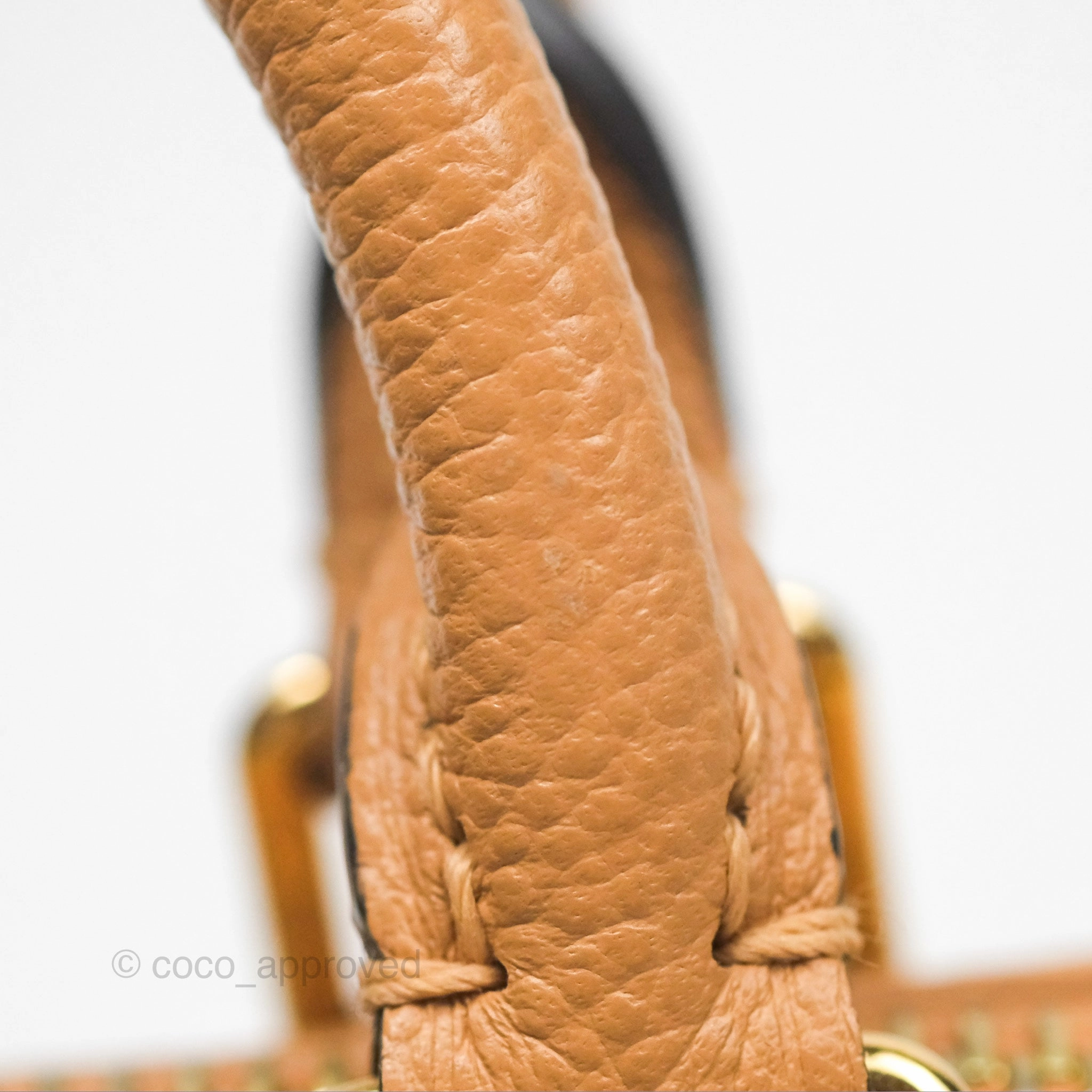 Louis Vuitton Nano Speedy Monogram Arizona Creme
