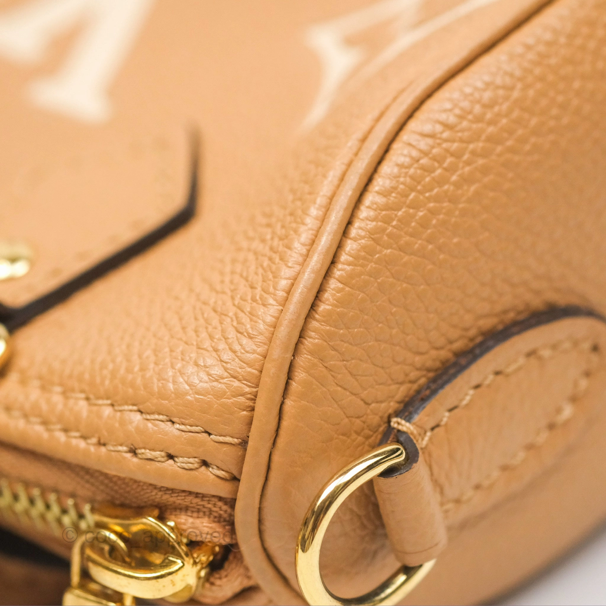 Louis Vuitton Nano Speedy Monogram Arizona Creme