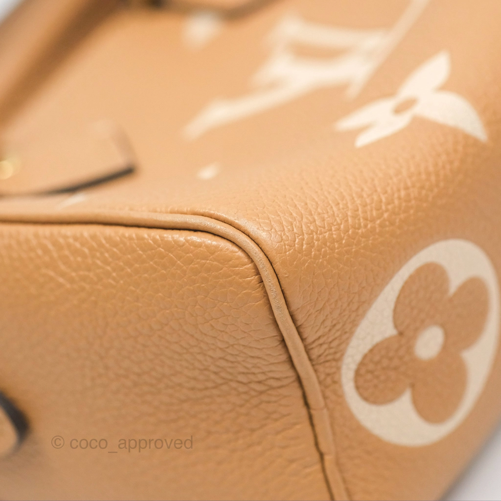 Louis Vuitton Nano Speedy Monogram Arizona Creme