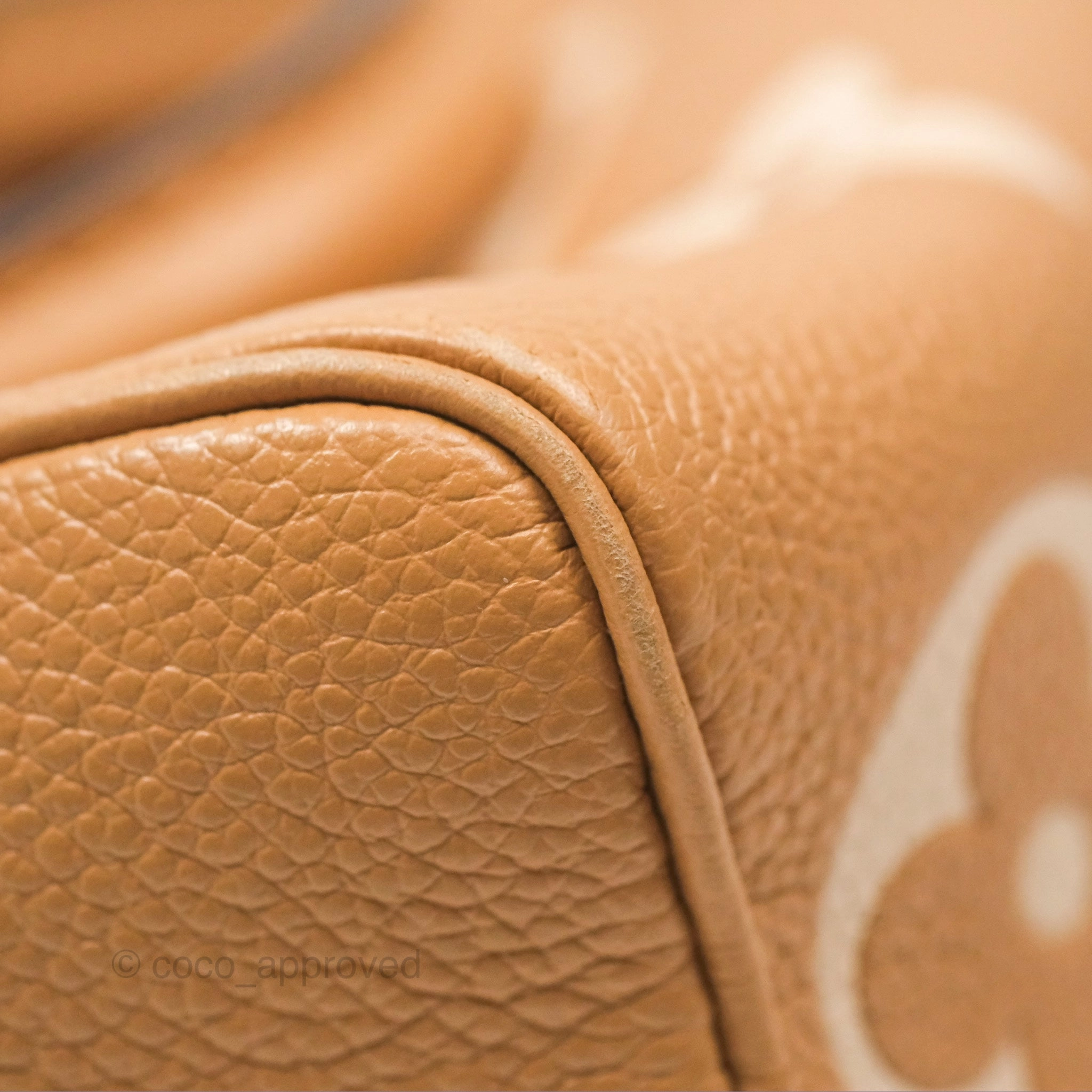 Louis Vuitton Nano Speedy Monogram Arizona Creme