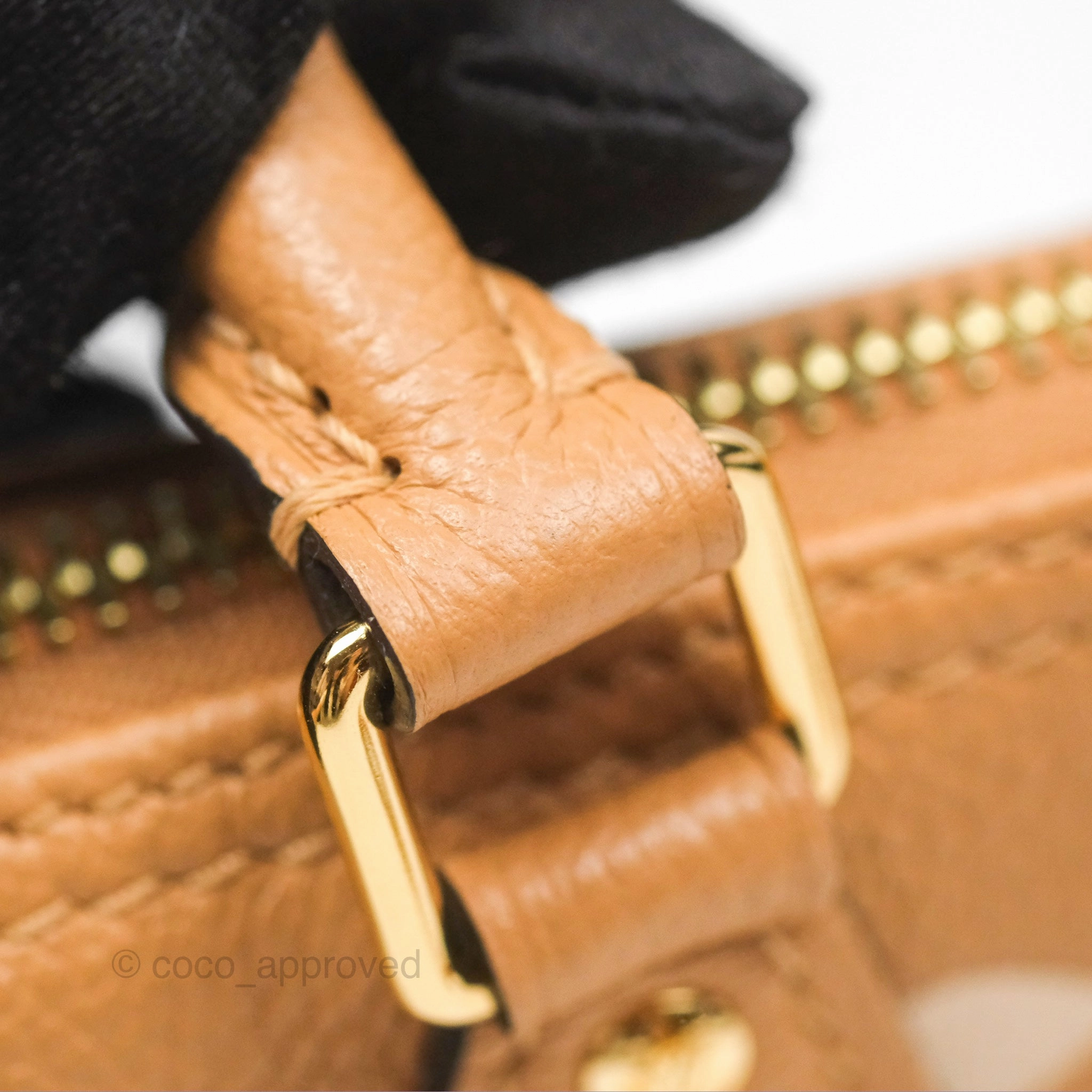 Louis Vuitton Nano Speedy Monogram Arizona Creme