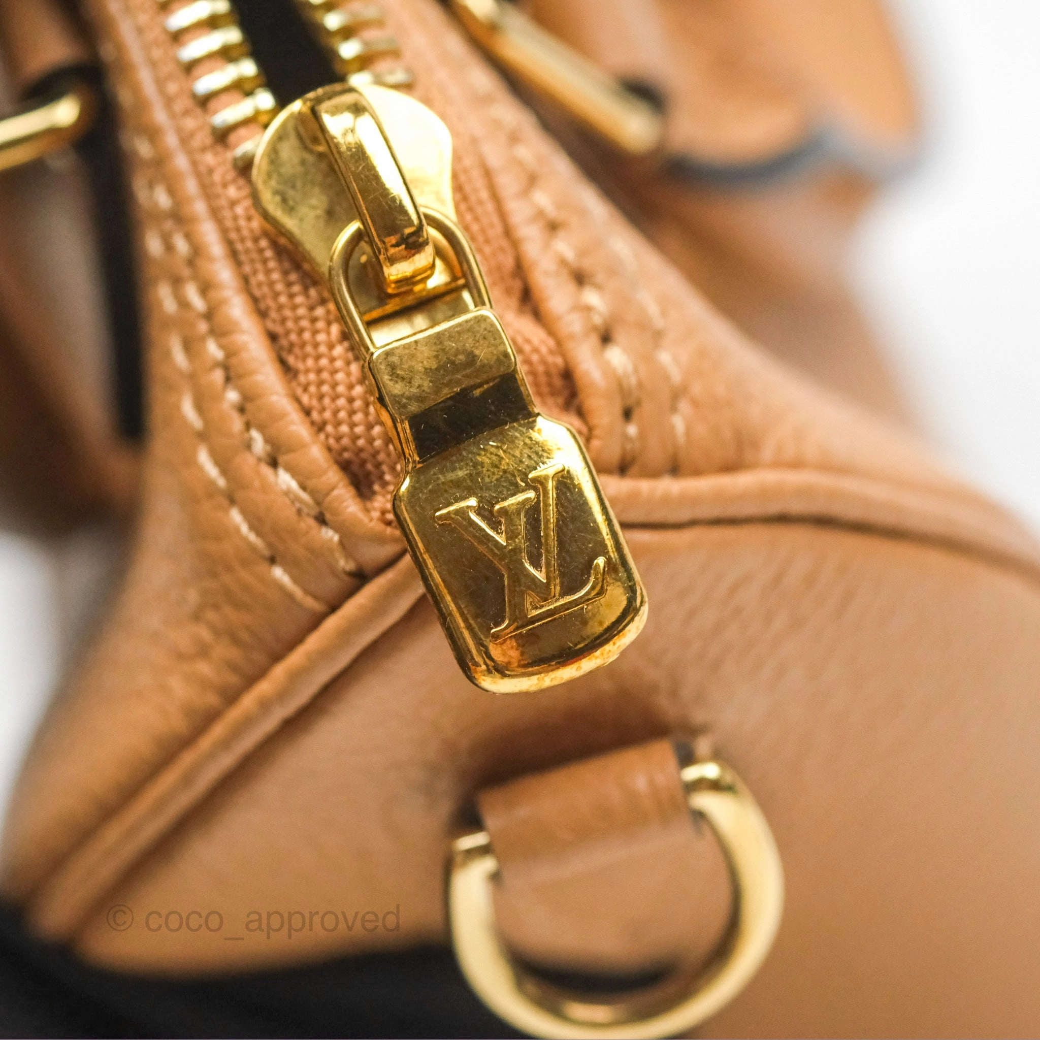 Louis Vuitton Nano Speedy Monogram Arizona Creme