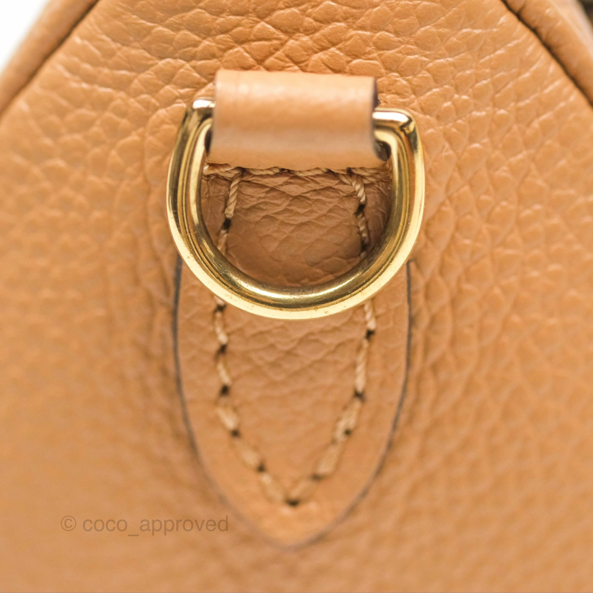 Louis Vuitton Nano Speedy Monogram Arizona Creme