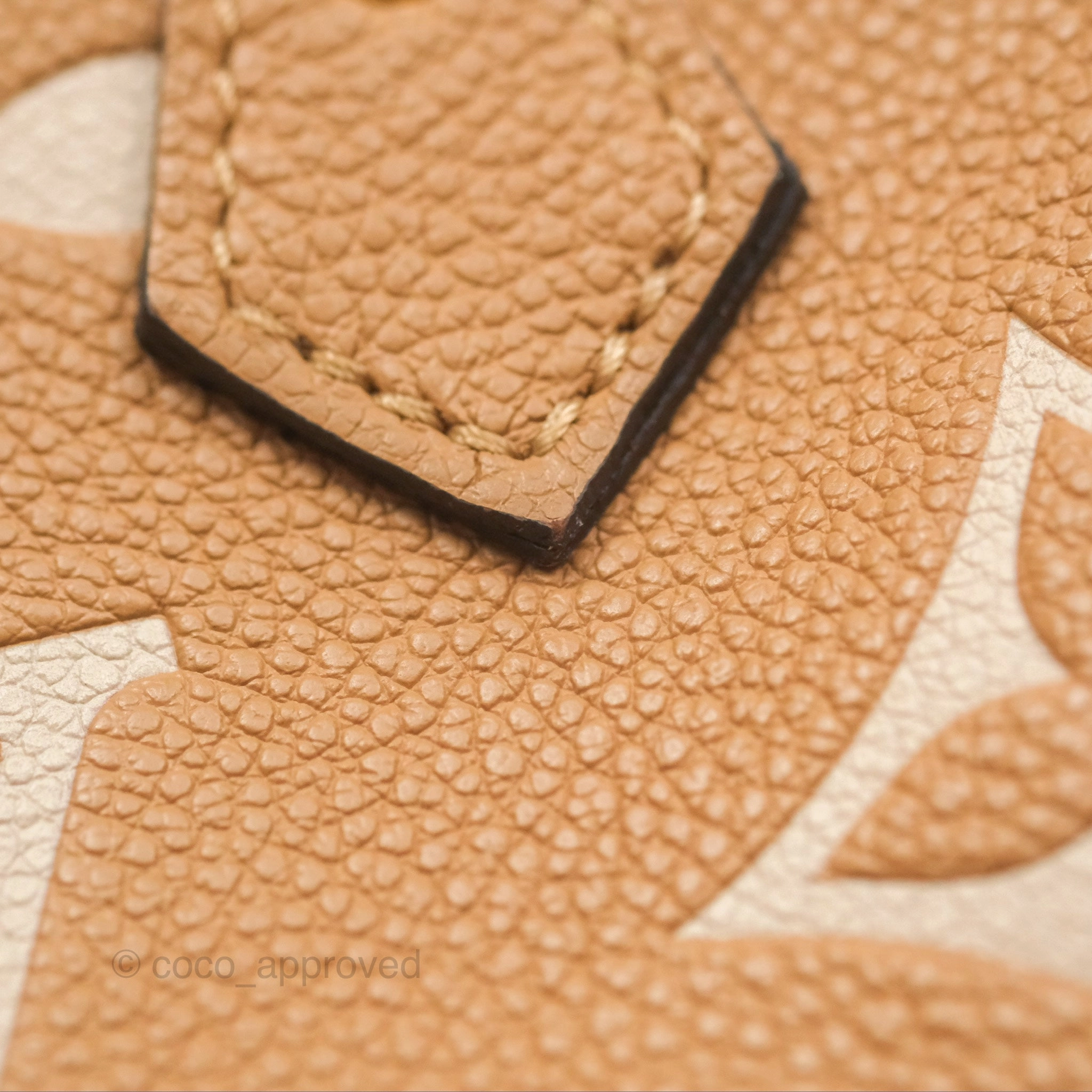 Louis Vuitton Nano Speedy Monogram Arizona Creme