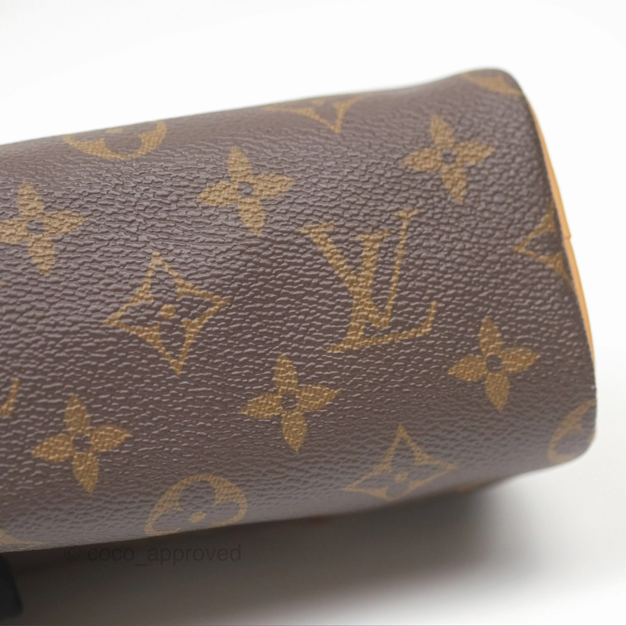 Louis Vuitton Nano Speedy Monogram