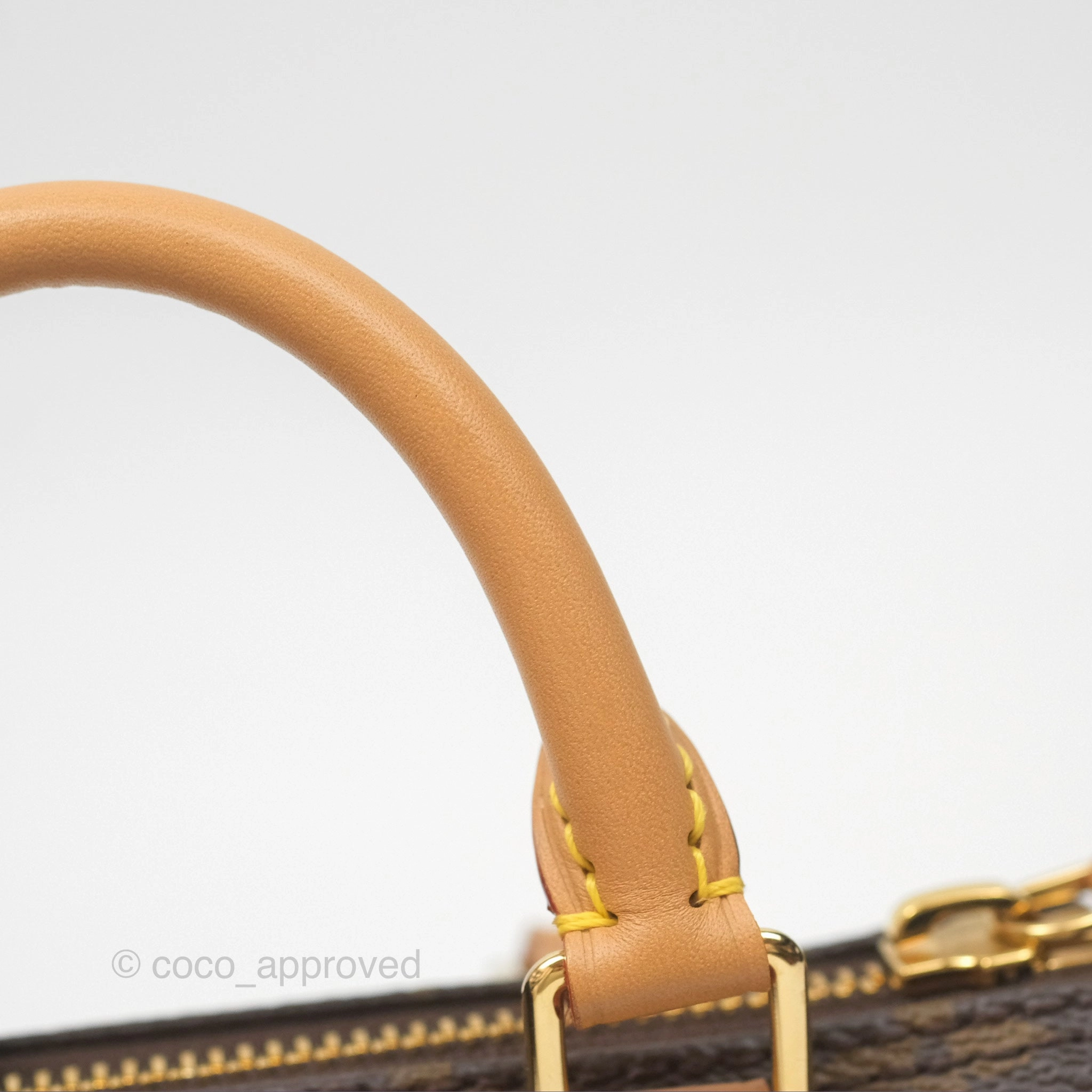 Louis Vuitton Nano Speedy Monogram
