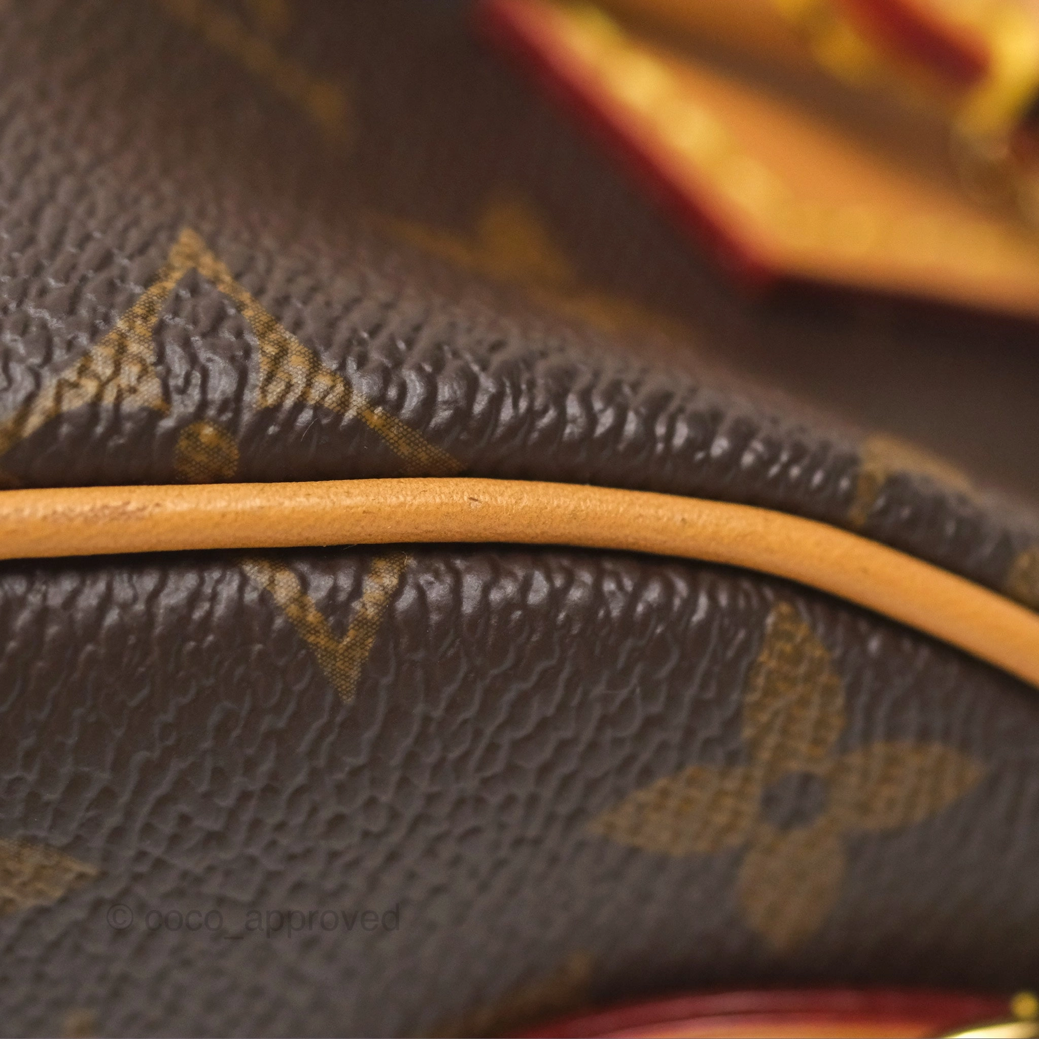 Louis Vuitton Nano Speedy Monogram