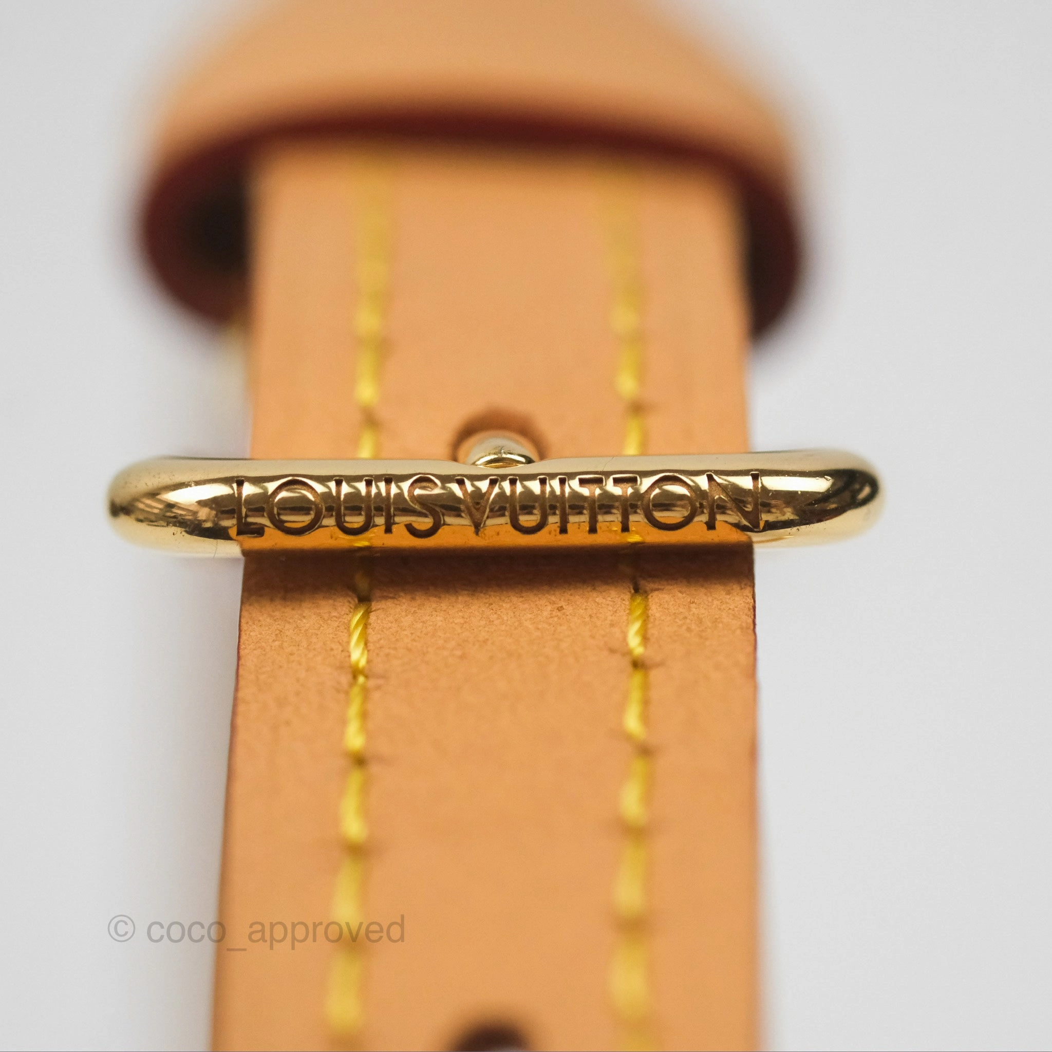 Louis Vuitton Nano Speedy Monogram