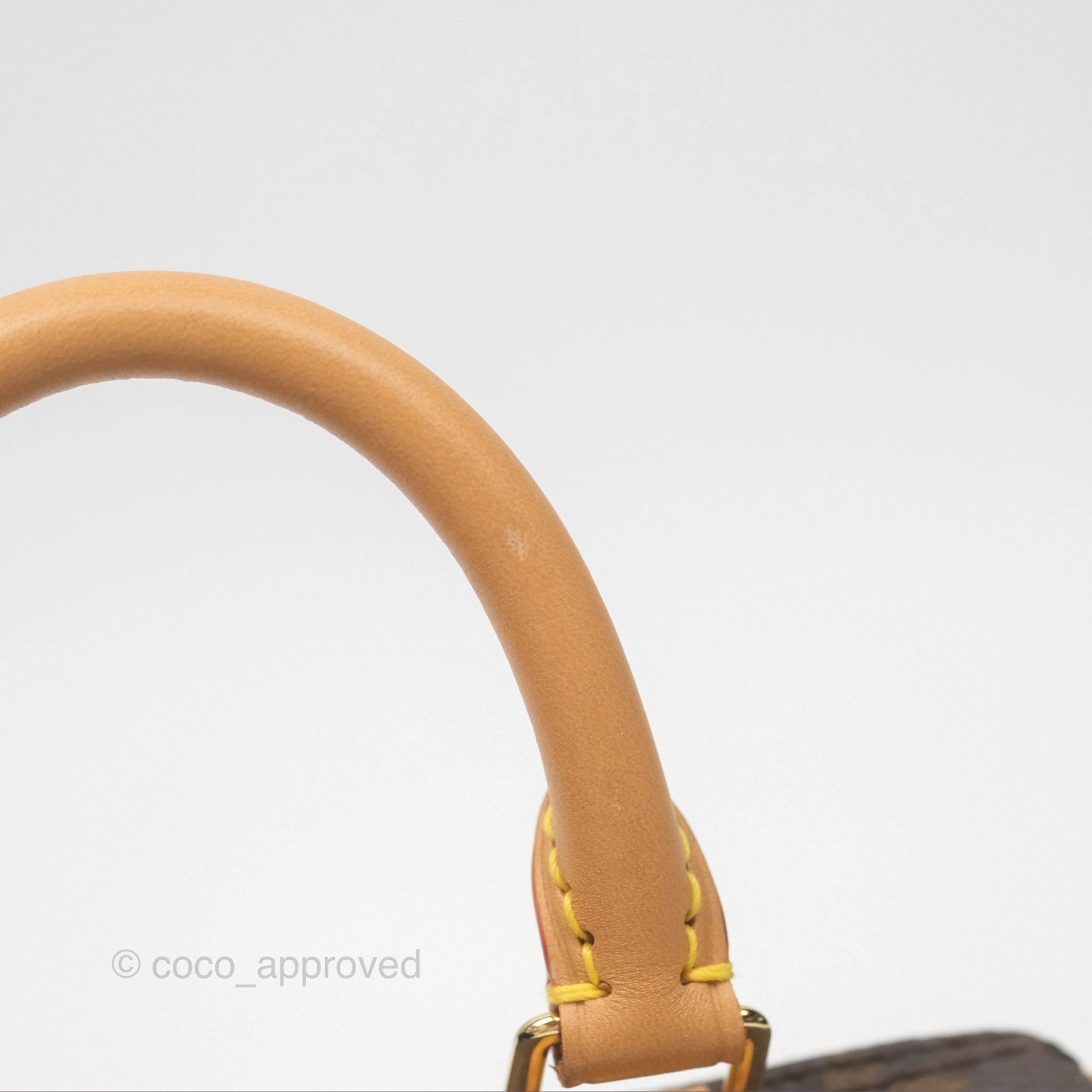 Louis Vuitton Nano Speedy Monogram