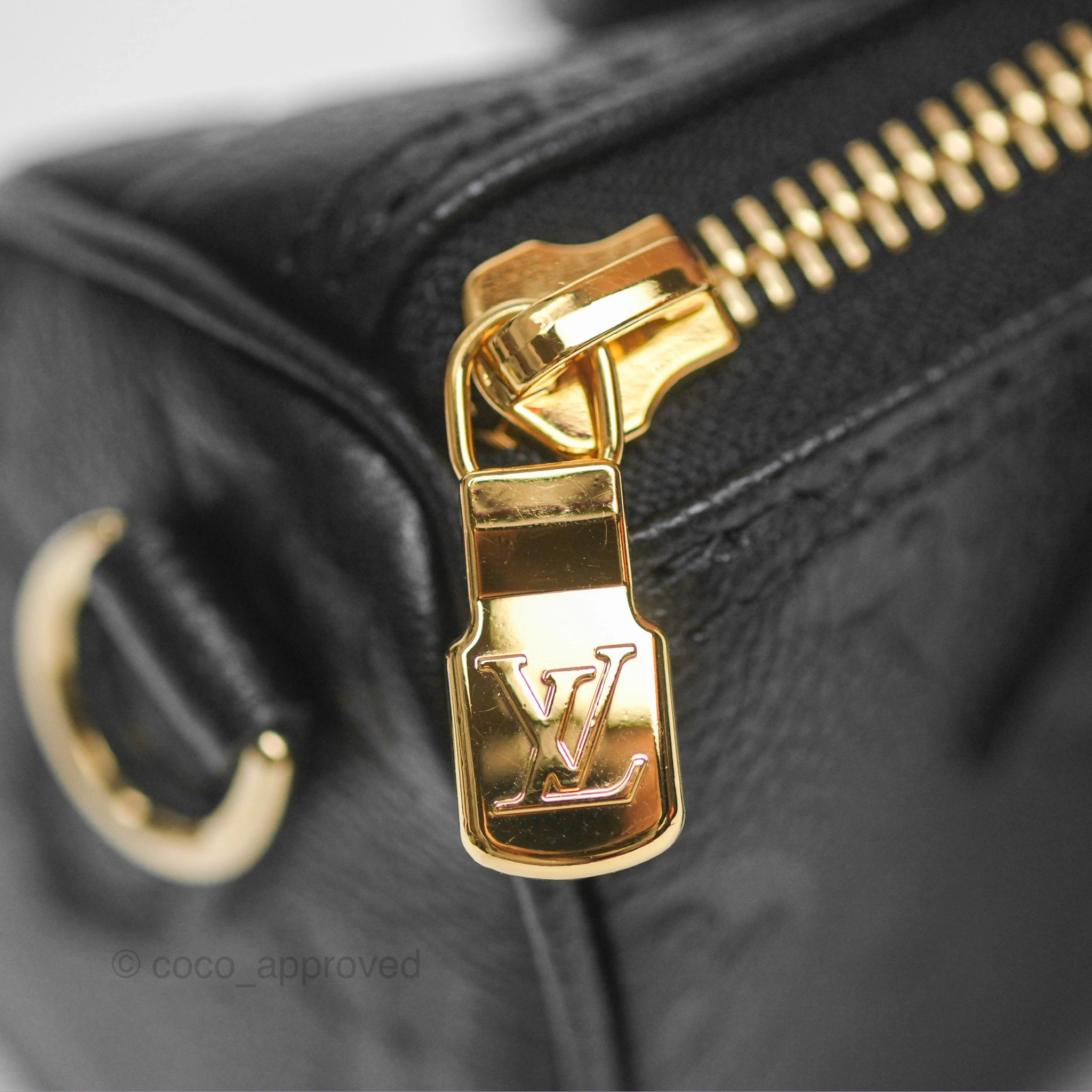 Louis Vuitton Nano Speedy Monogram Empreinte Black