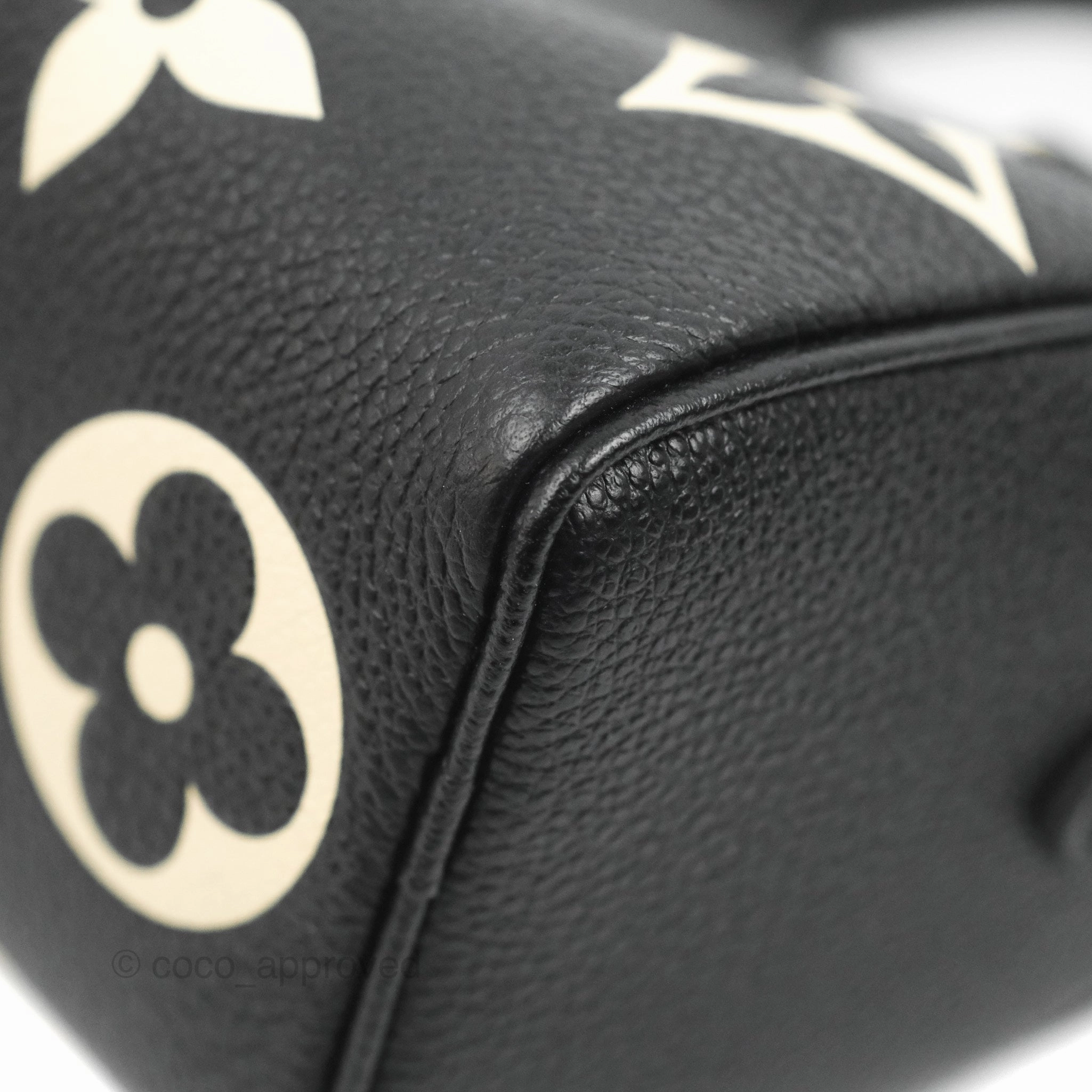 Louis Vuitton Nano Speedy Monogram Empreinte Black