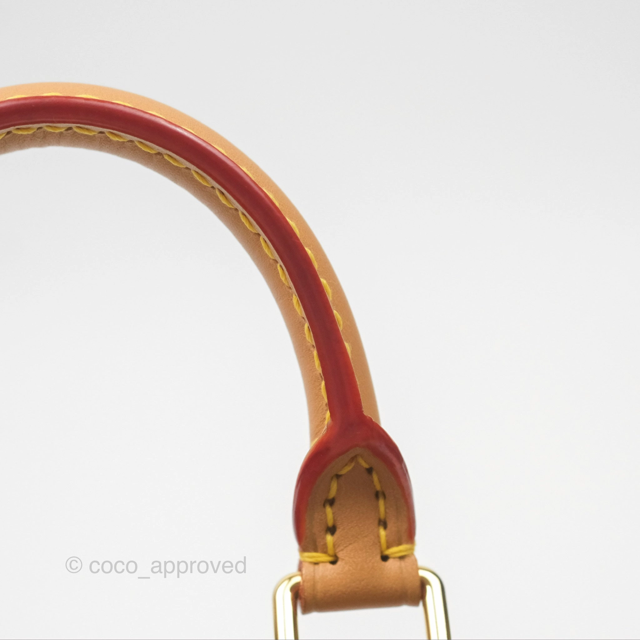 Louis Vuitton Nano Speedy Monogram