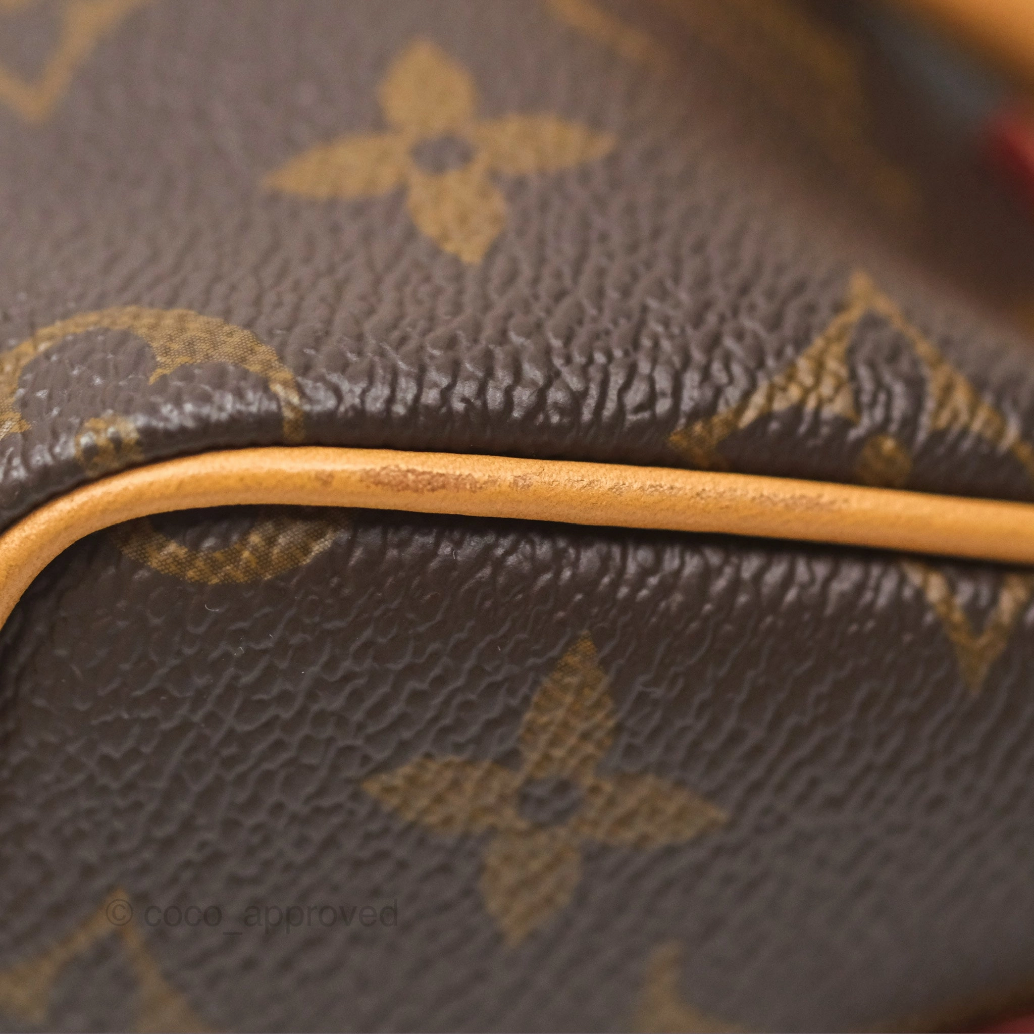 Louis Vuitton Nano Speedy Monogram