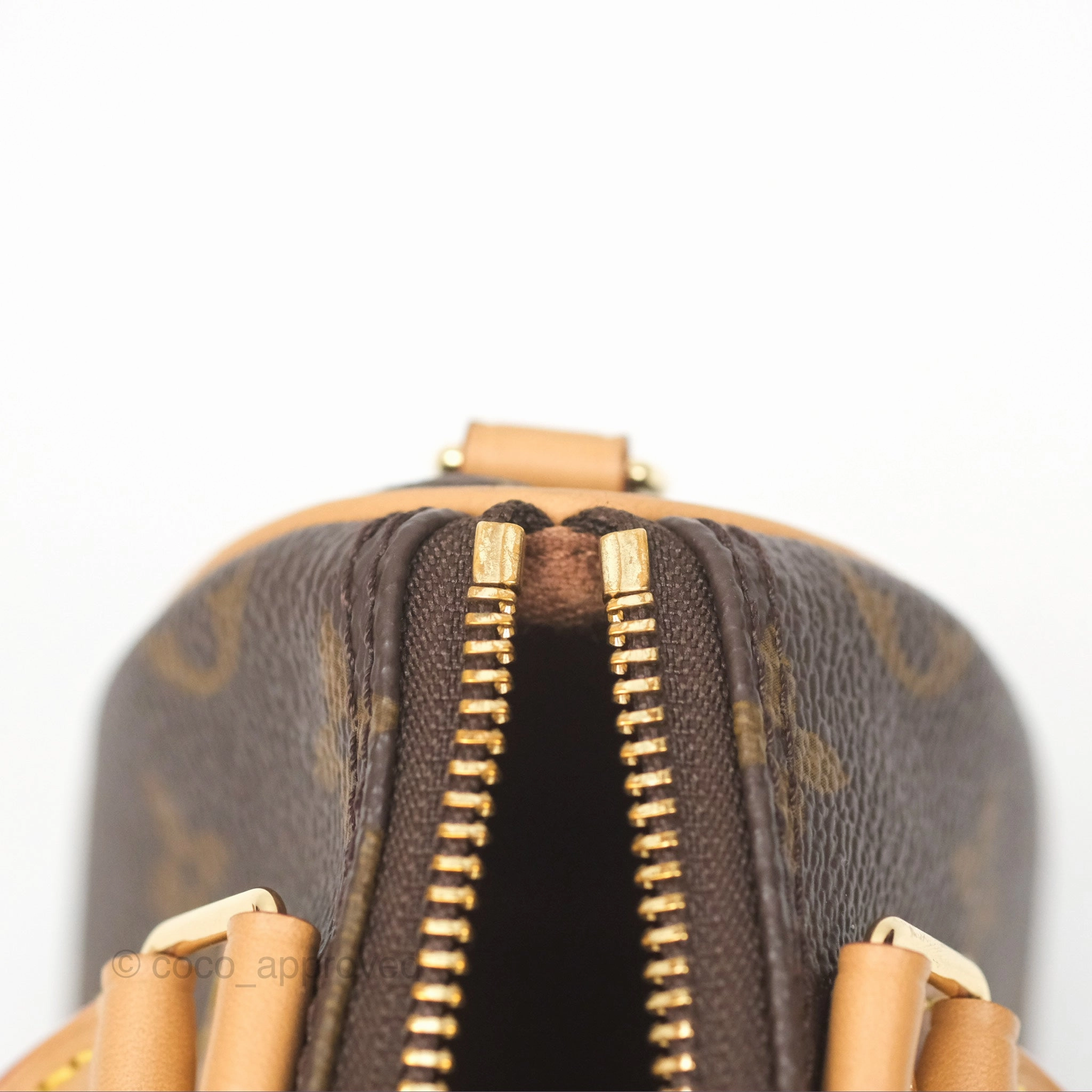 Louis Vuitton Nano Speedy Monogram