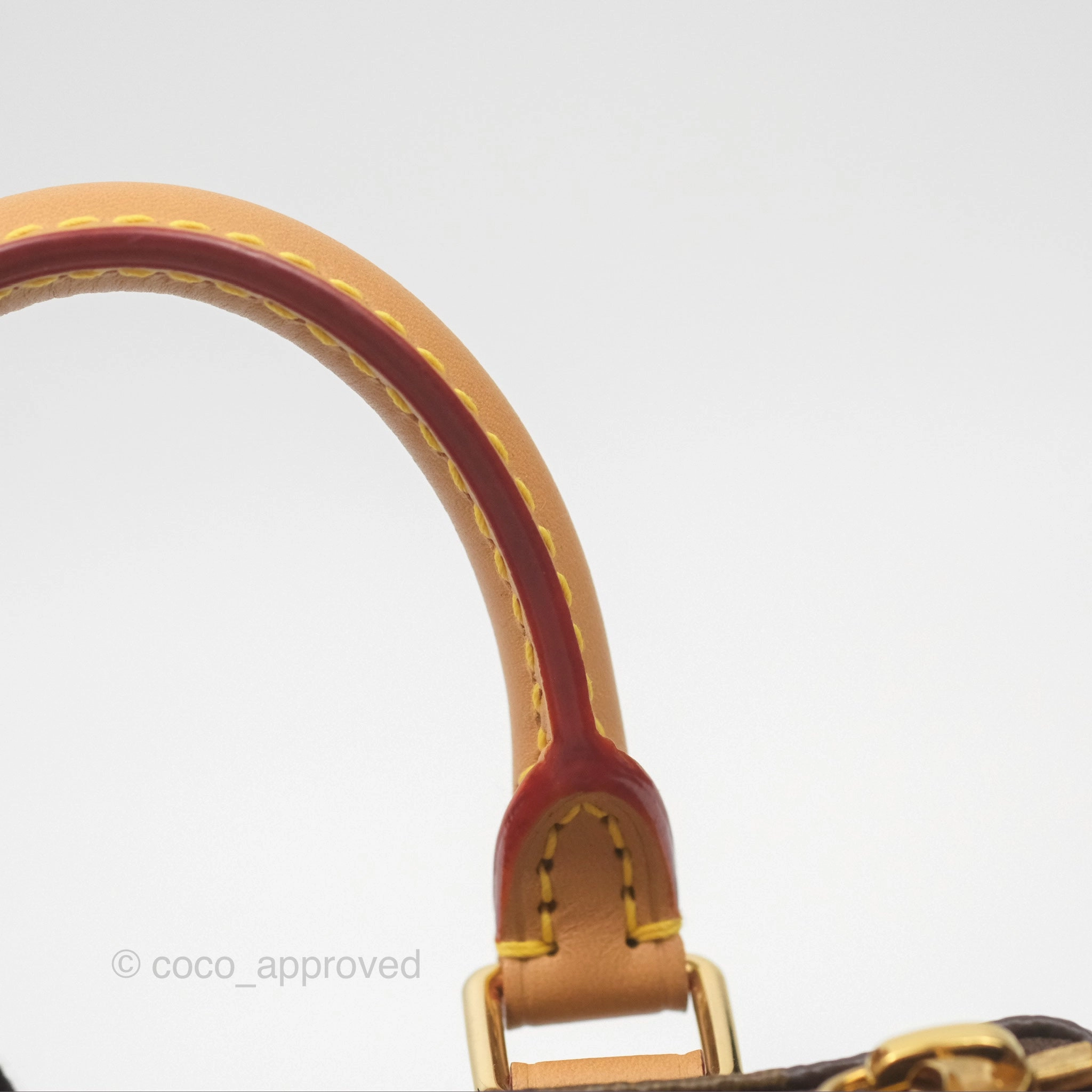 Louis Vuitton Nano Speedy Monogram