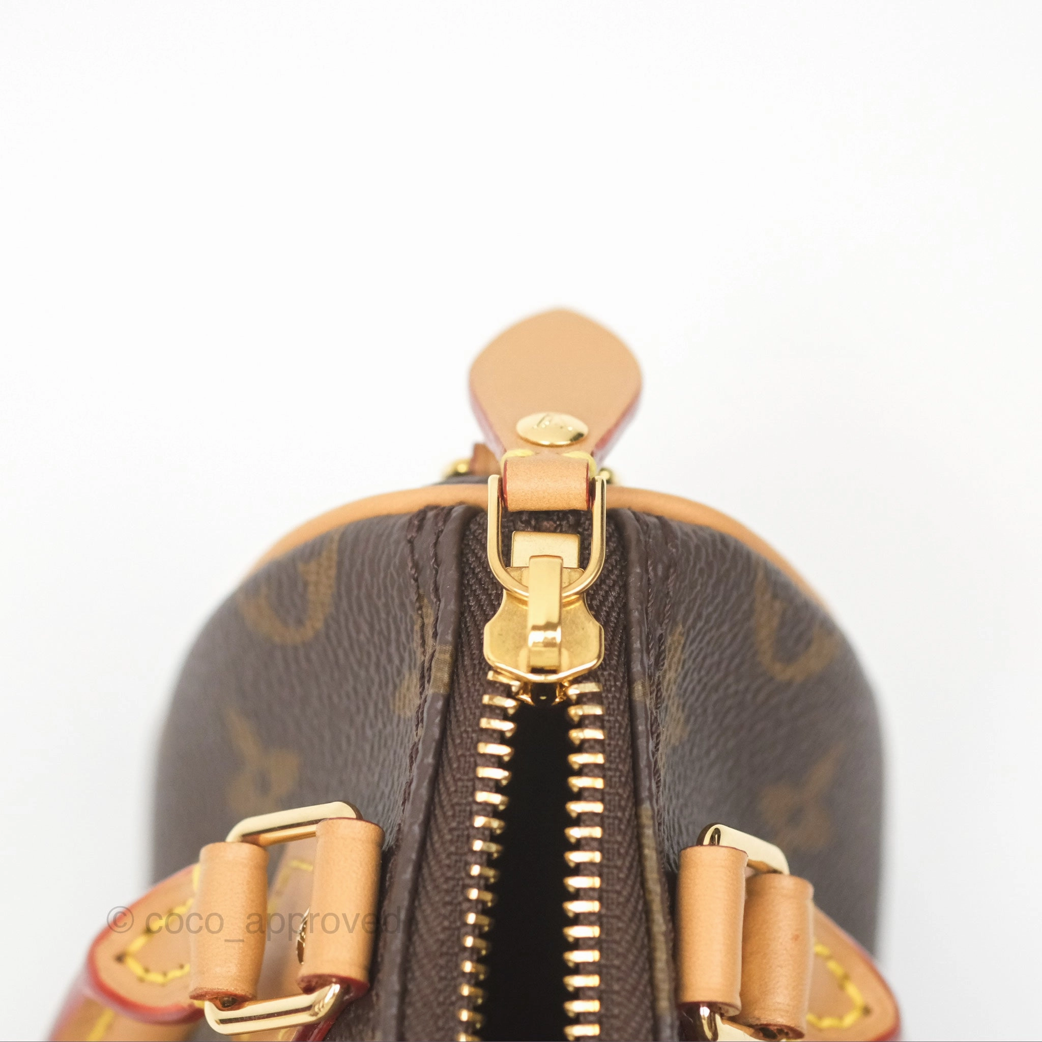 Louis Vuitton Nano Speedy Monogram
