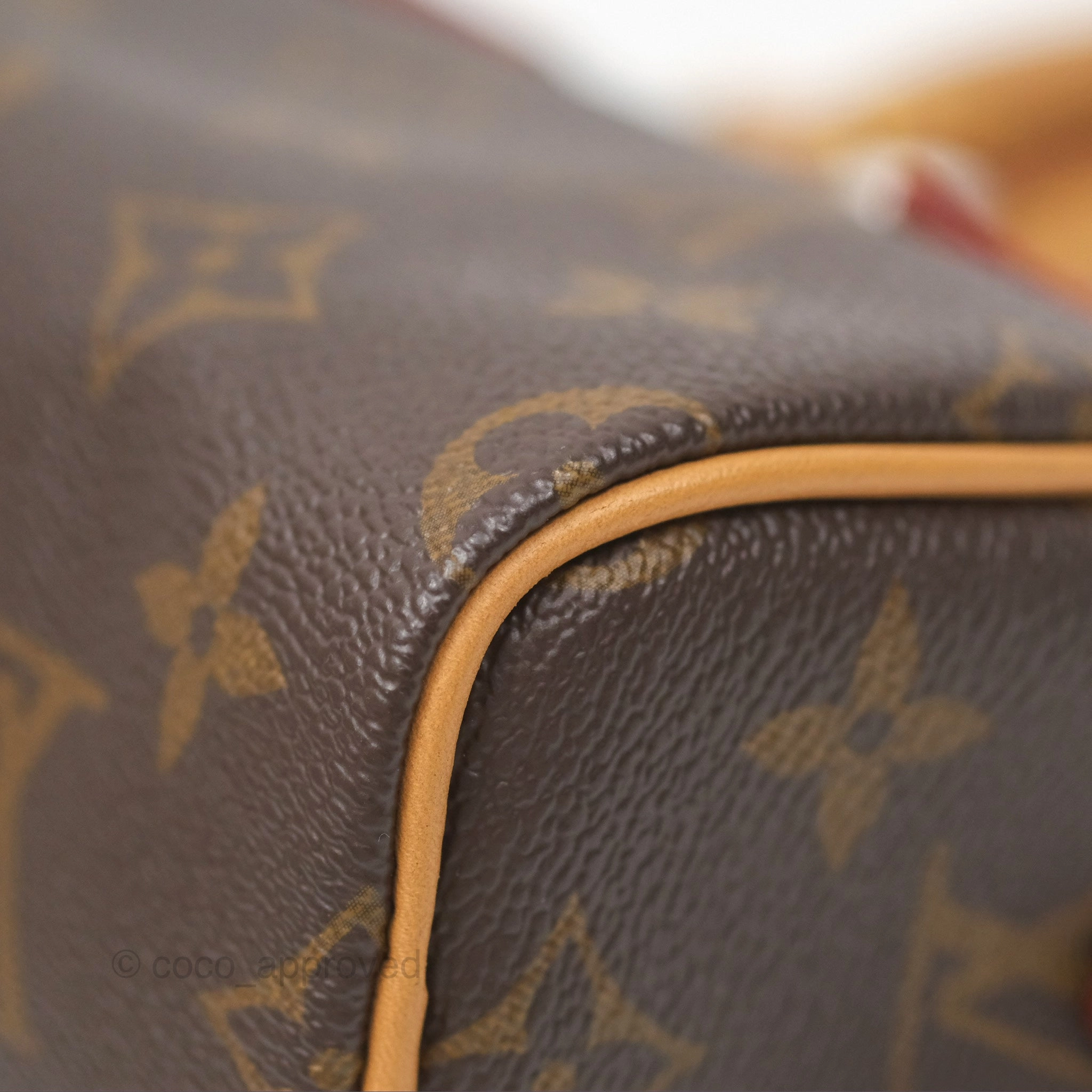 Louis Vuitton Nano Speedy Monogram