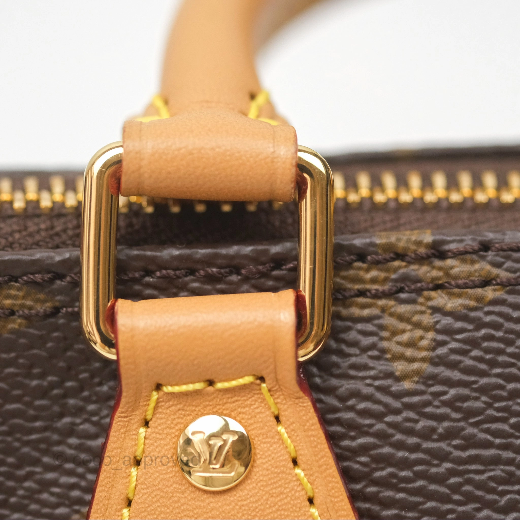 Louis Vuitton Nano Speedy Monogram