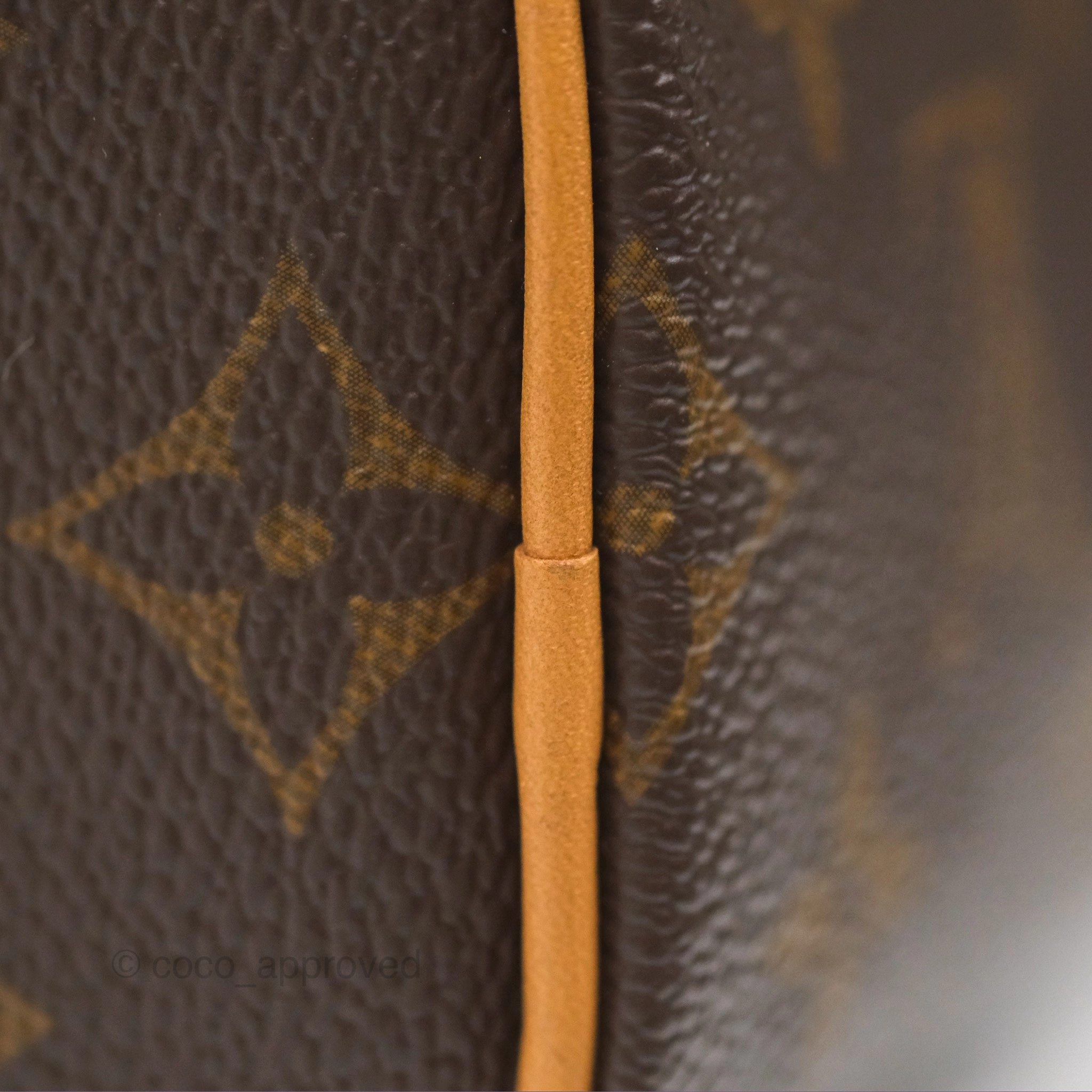 Louis Vuitton Nano Speedy Monogram